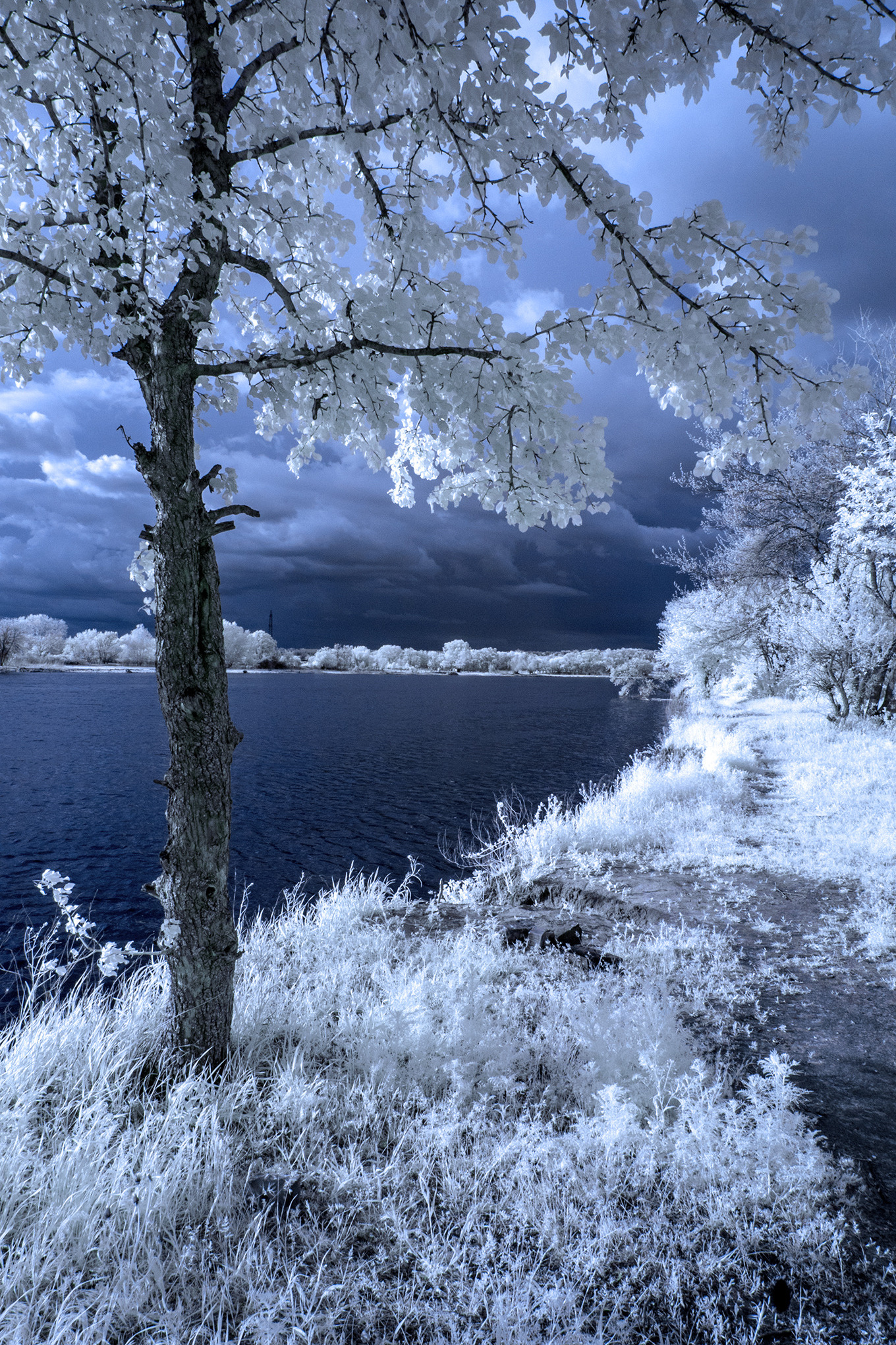 Профессиональная фотосъемка. Ростов-на-Дону