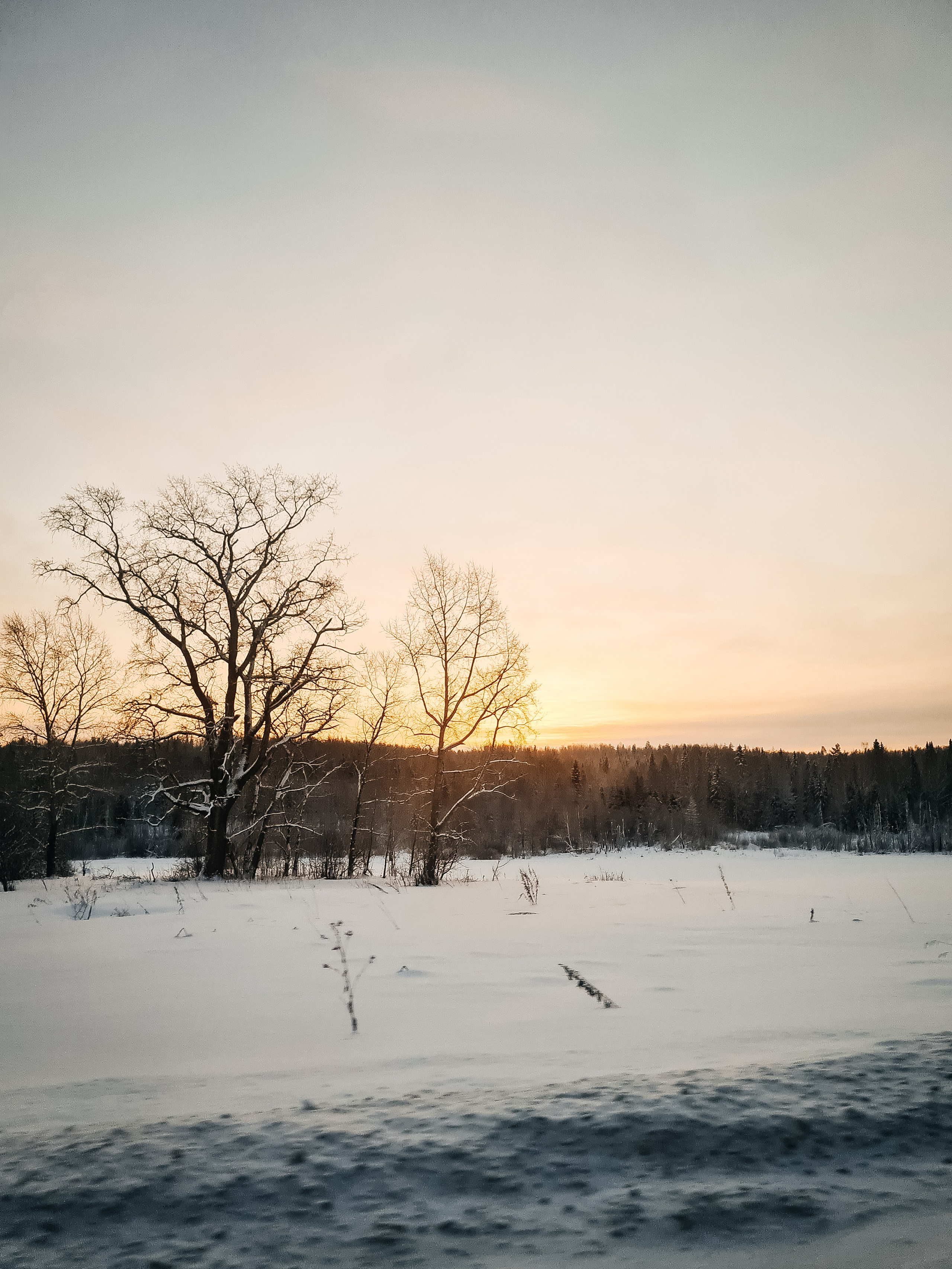 зимний Великий Устюг