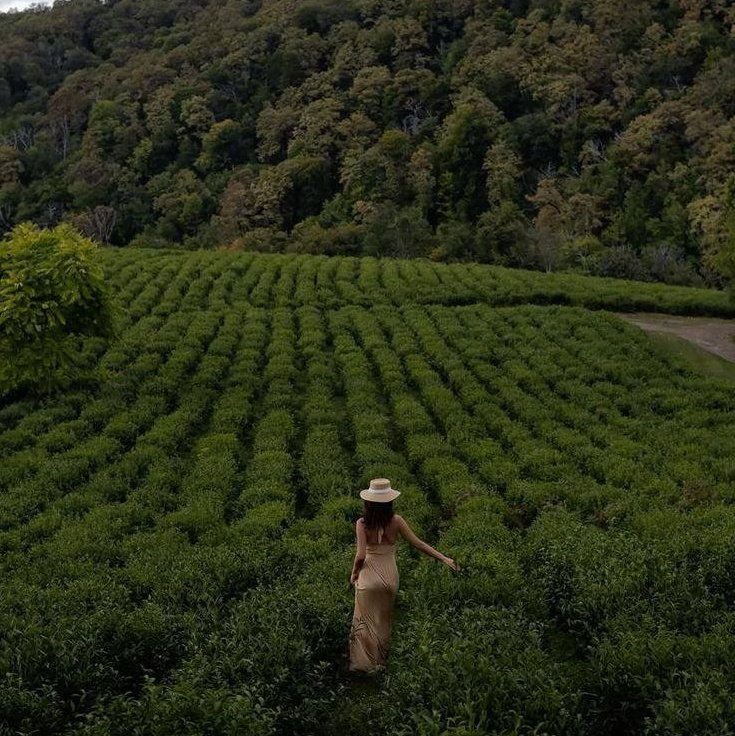 Фото путешествие в Сочи для девушек. Фотограф и видеограф Елена Лисина