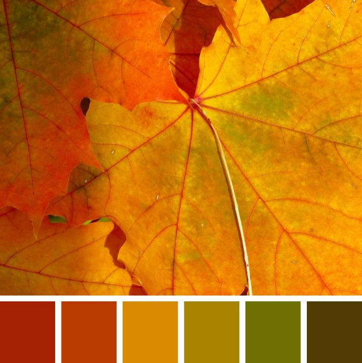 Рекомендации по подбору одежды осенью