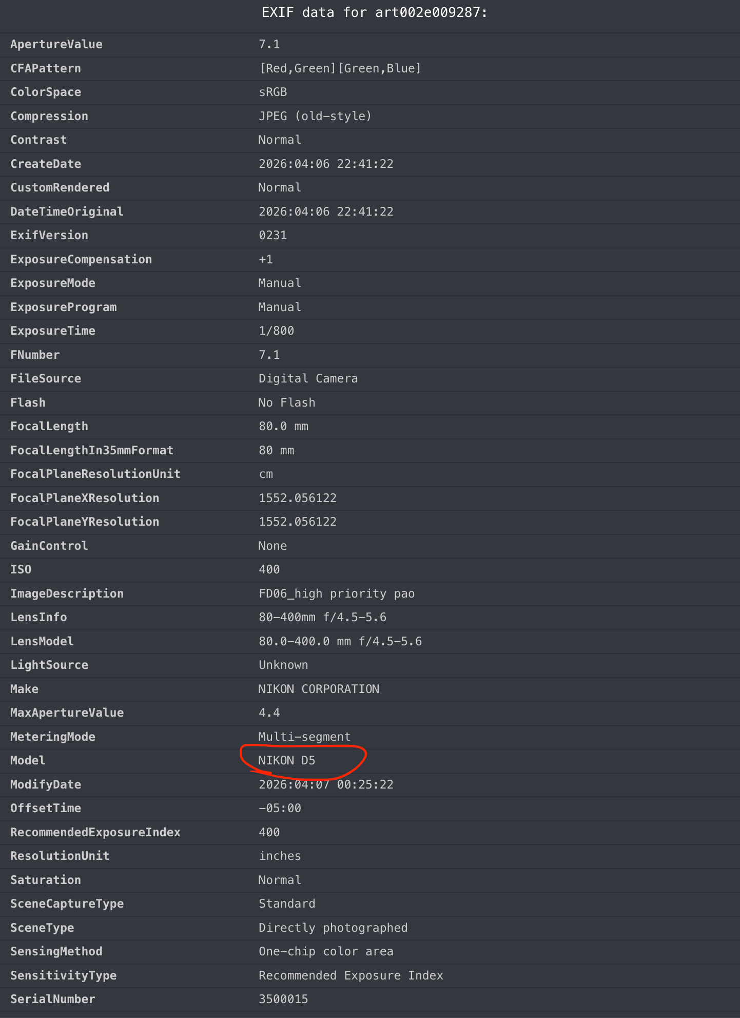 Летит ли Nikon Z9 на Луну?. Репортажный фотограф в Сочи — Михаил Мордасов