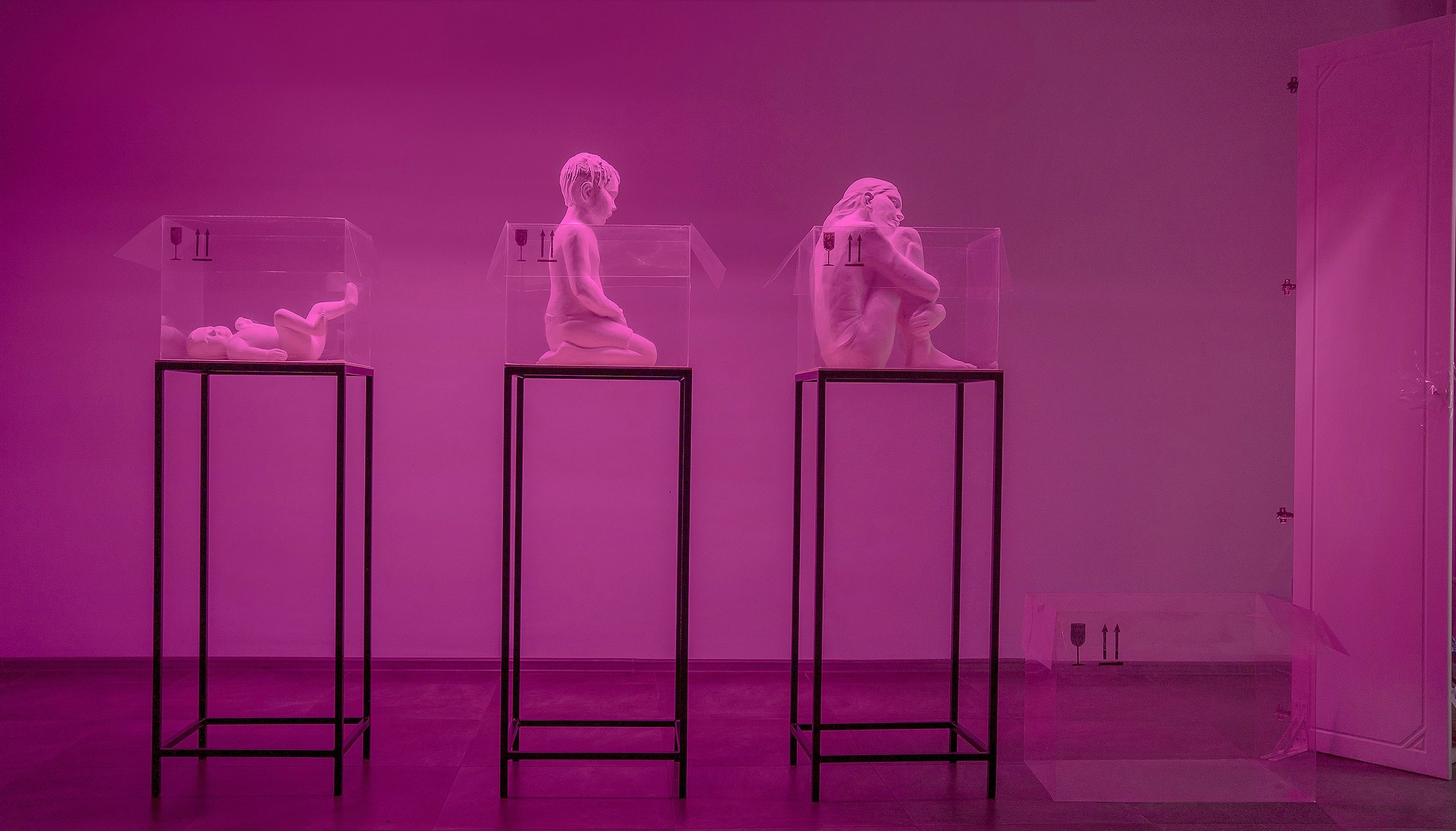 Инсталляция «Парниковый эффект» Художницы Софьи Григорьевой на тему сиротства, подростков в детских домах