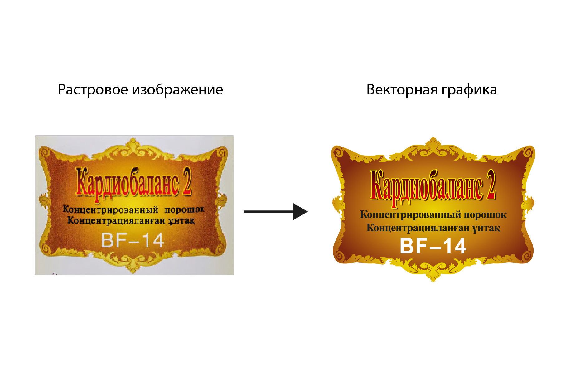 Графический дизайн. Профессиональный фотограф в Астане