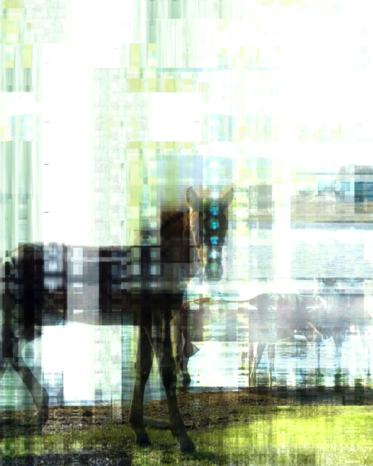 Akbuzat (1). MEMORY in NATURE | digital art gallery