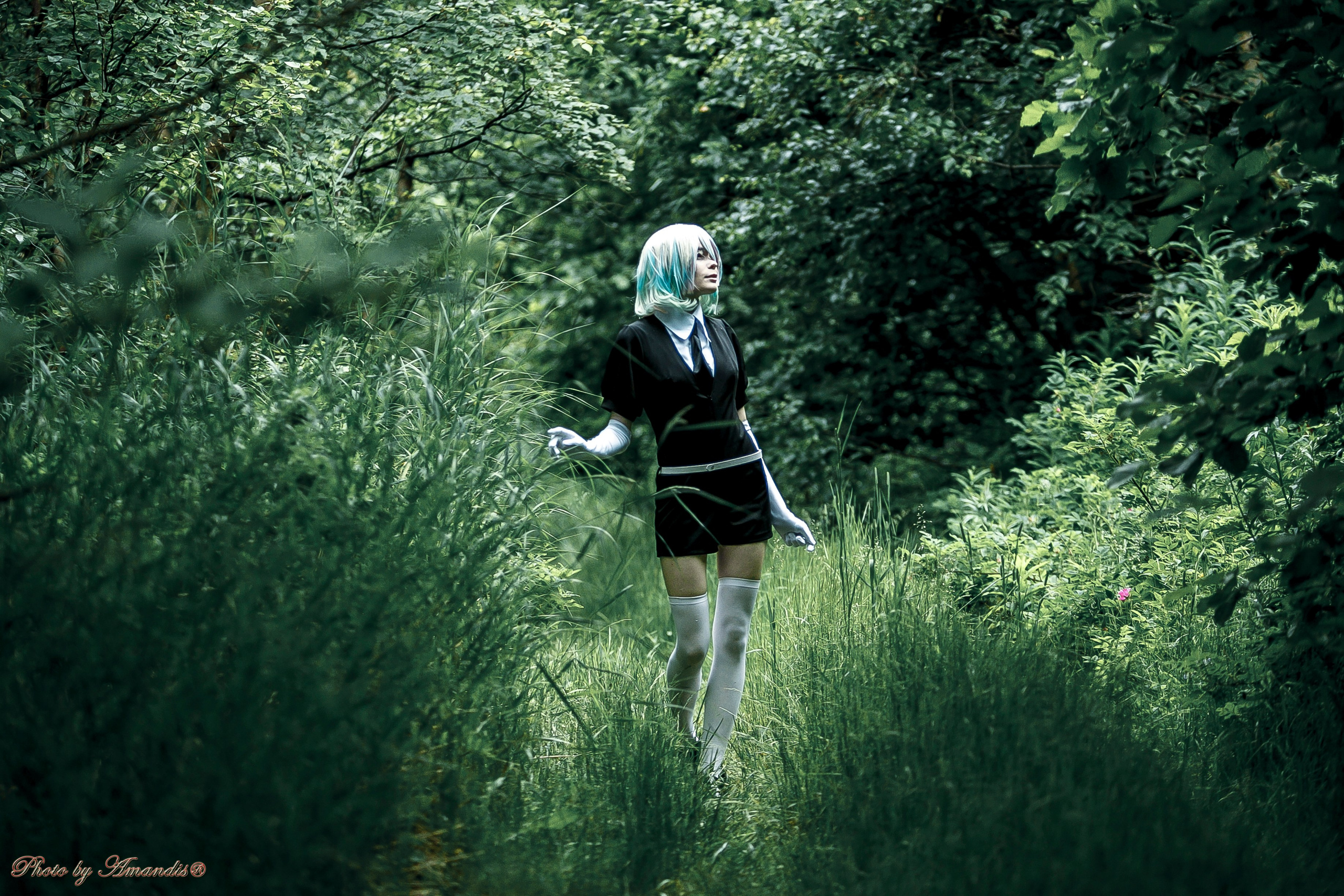 Как это снимали. Алмаз. Репортажная съемка в Москве и области. Анималистика