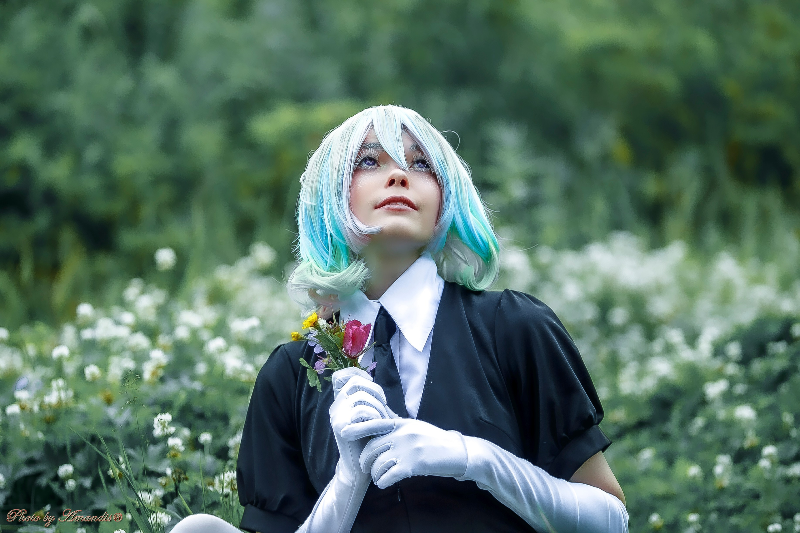 Как это снимали. Алмаз. Репортажная съемка в Москве и области. Анималистика