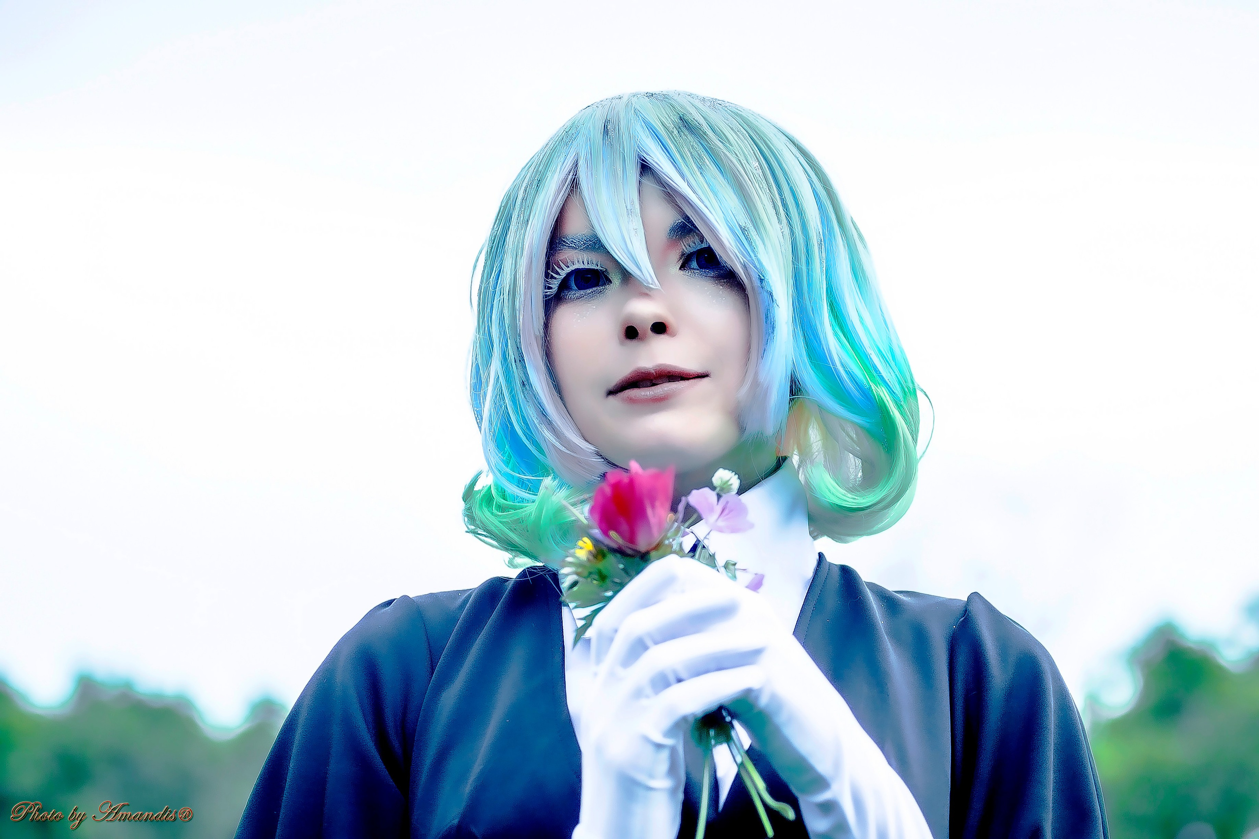 Как это снимали. Алмаз. Репортажная съемка в Москве и области. Анималистика