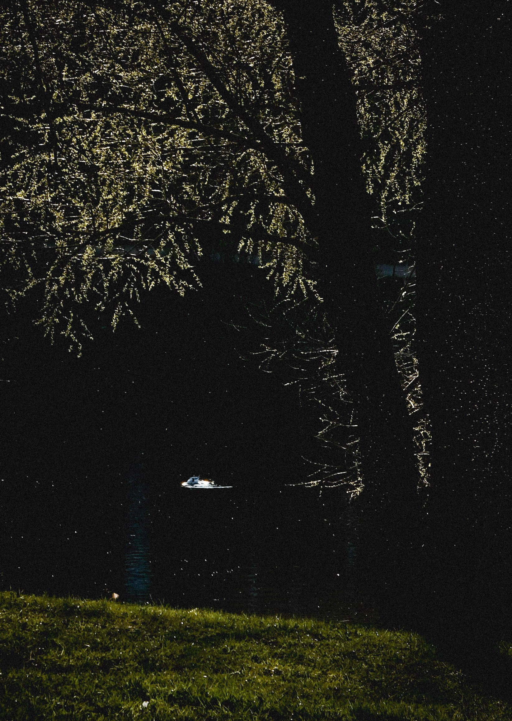 JUST PASSING BY. AI — artist | Documentary Photographer St. Petersburg, Milan