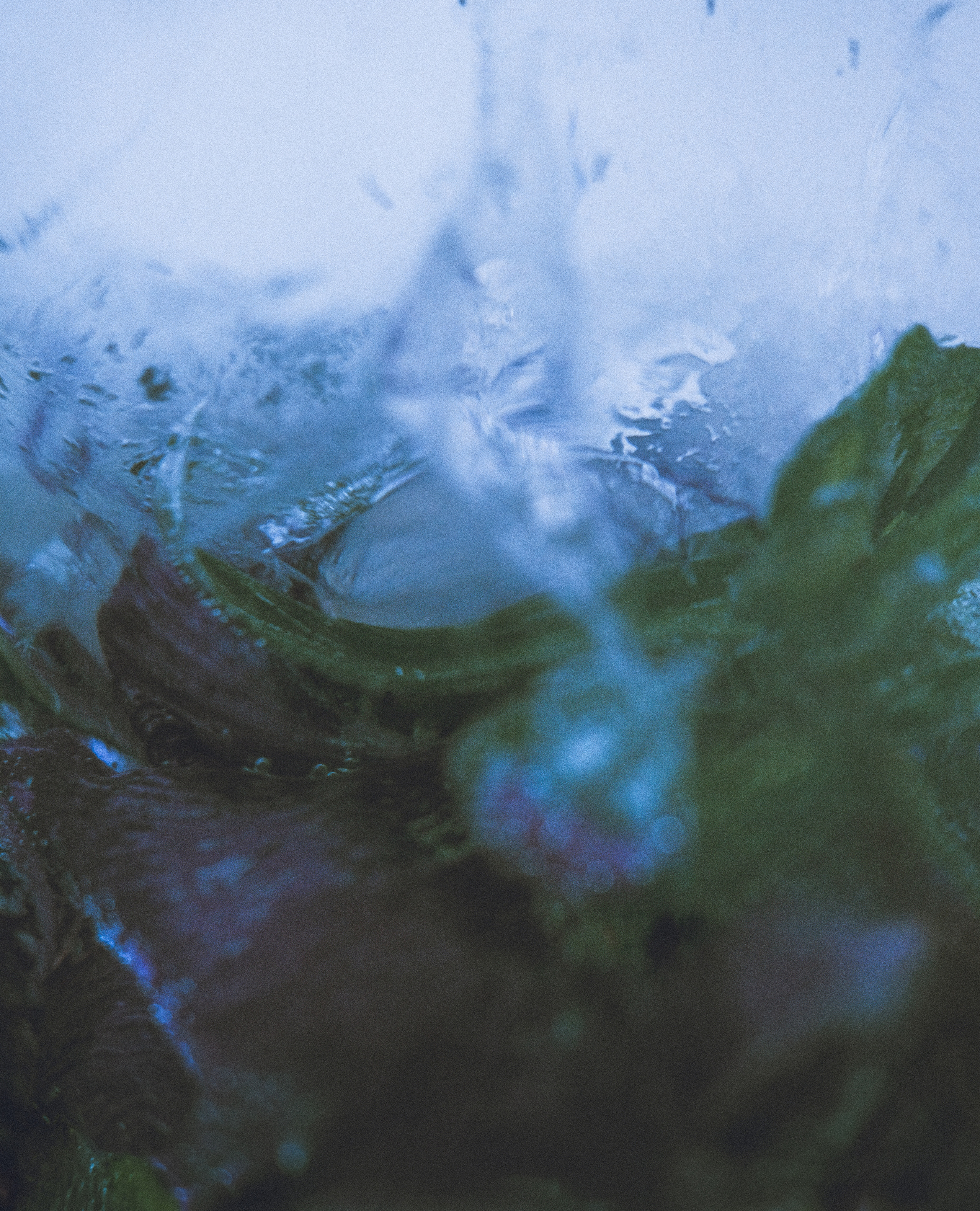 Photographer Tbilisi