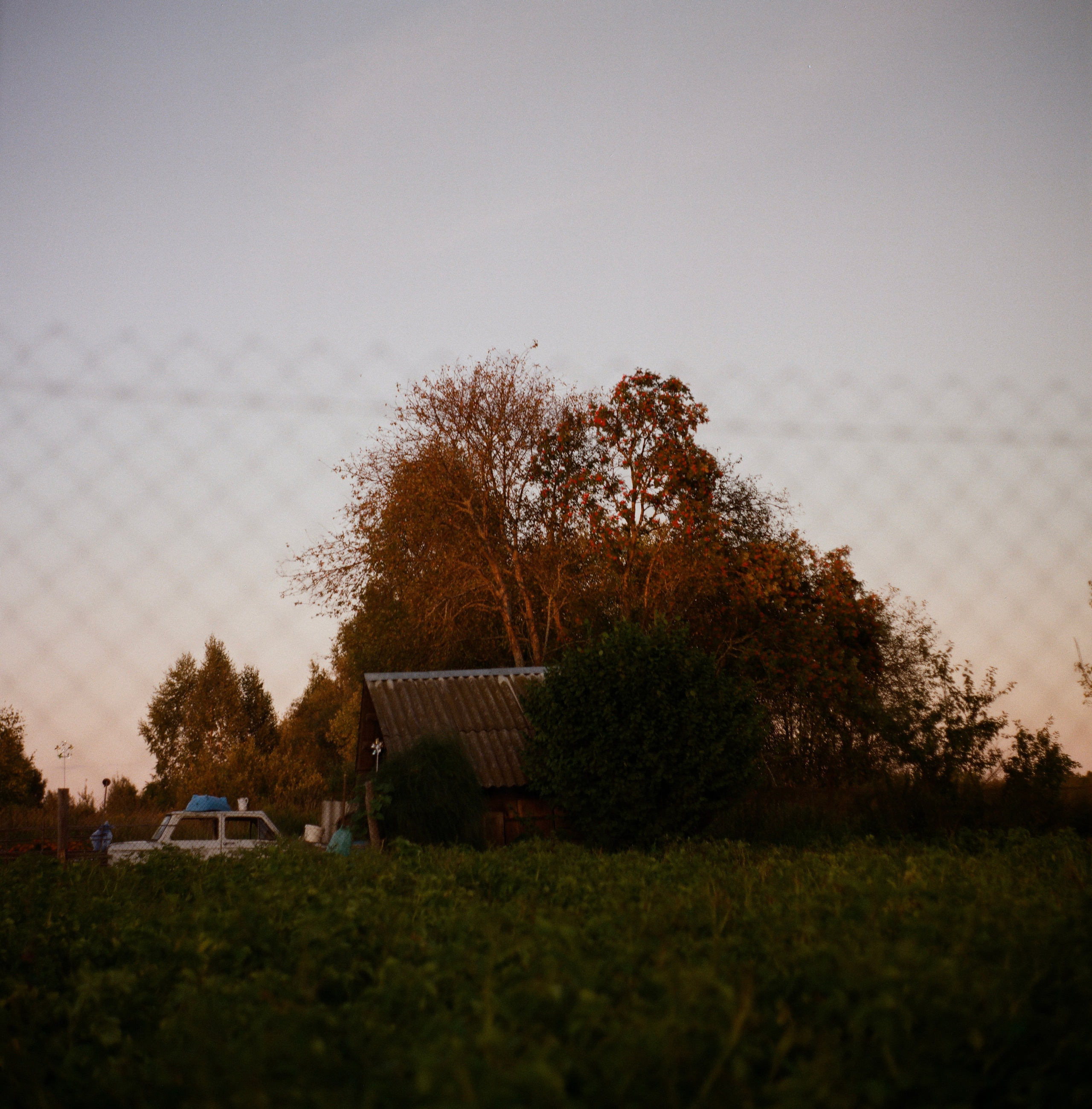 Aksenovo. Photographer Dima Sharov | Фотограф Дима Шаров