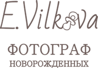 ekaterina-vilkova.wfolio.pro