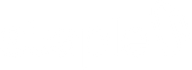 staple.wfolio.pro
