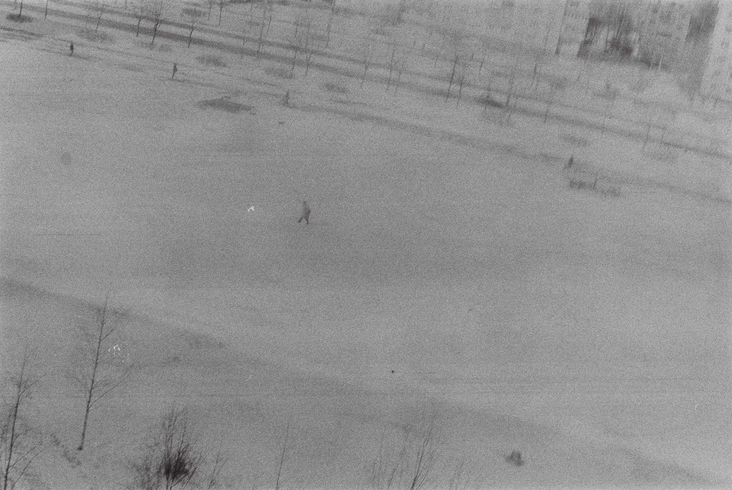 Mogilevtseva Daria is a photographer and an interdisciplinary artist