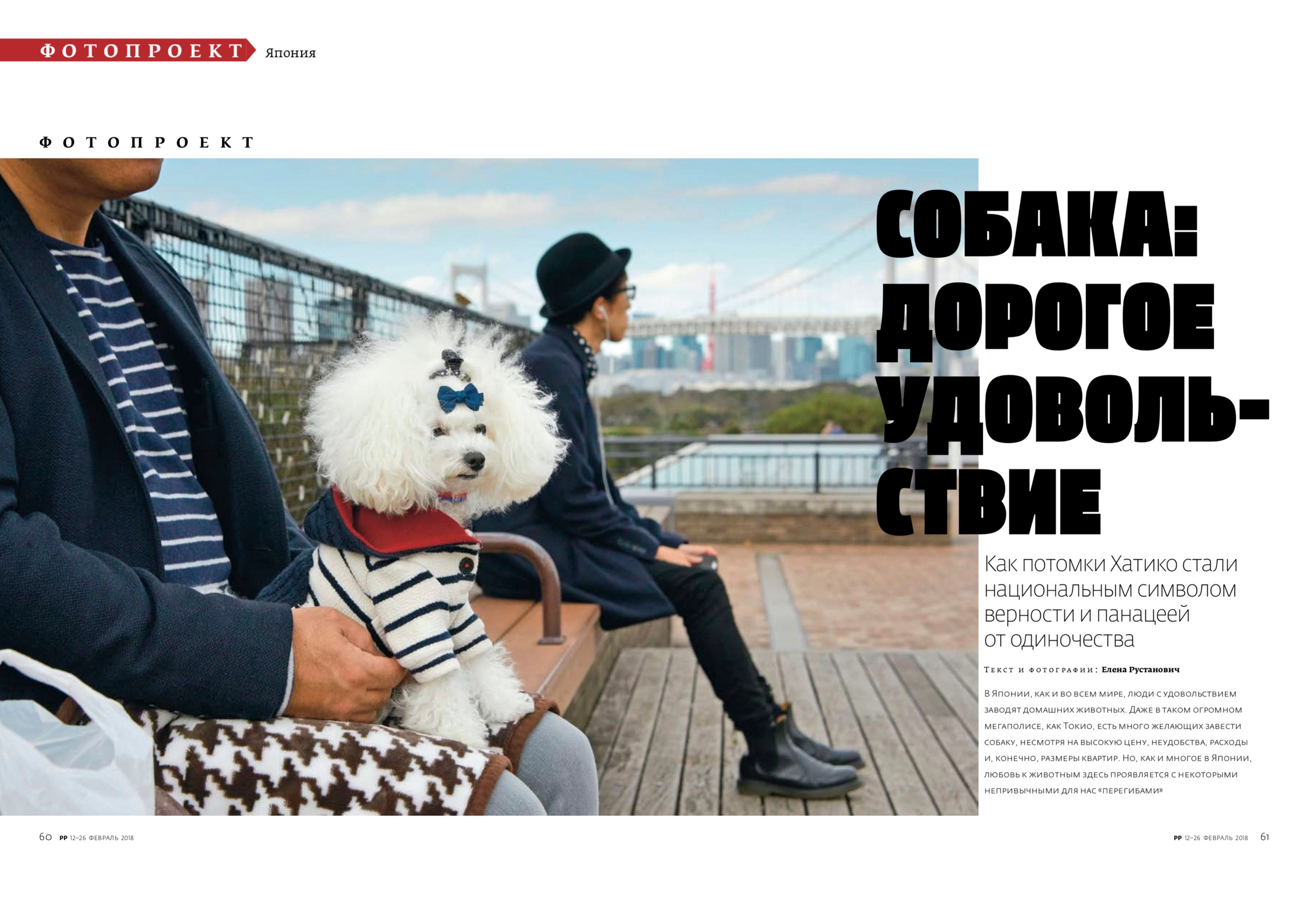 Projects. Фотограф Елена Рустанович