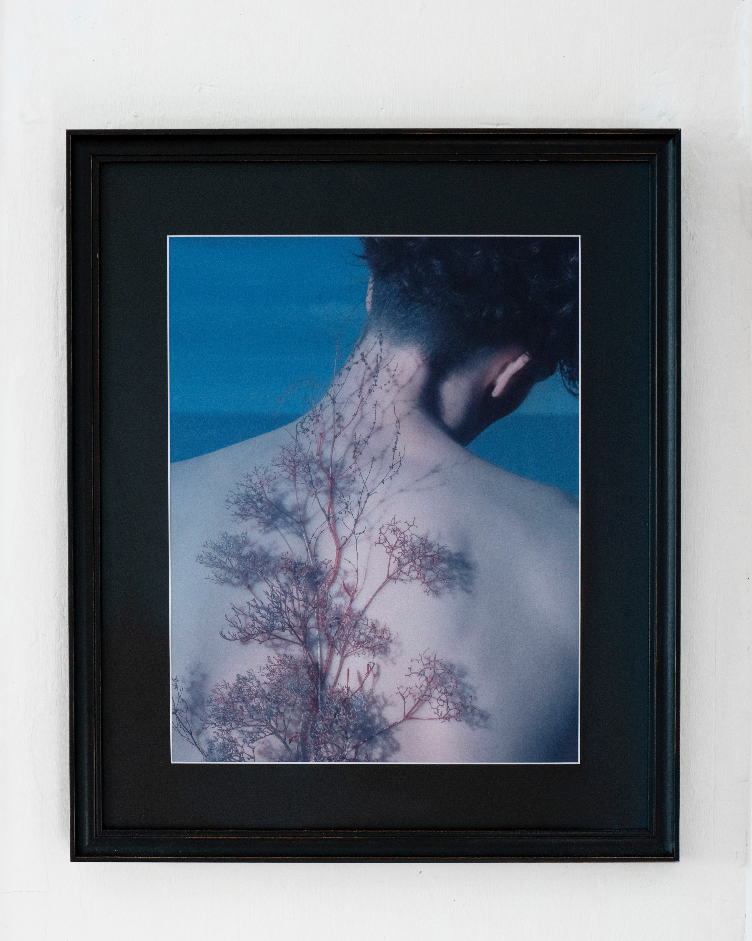 Принты. Художественная фотография в Санкт-Петербурге Алина Берёзкина