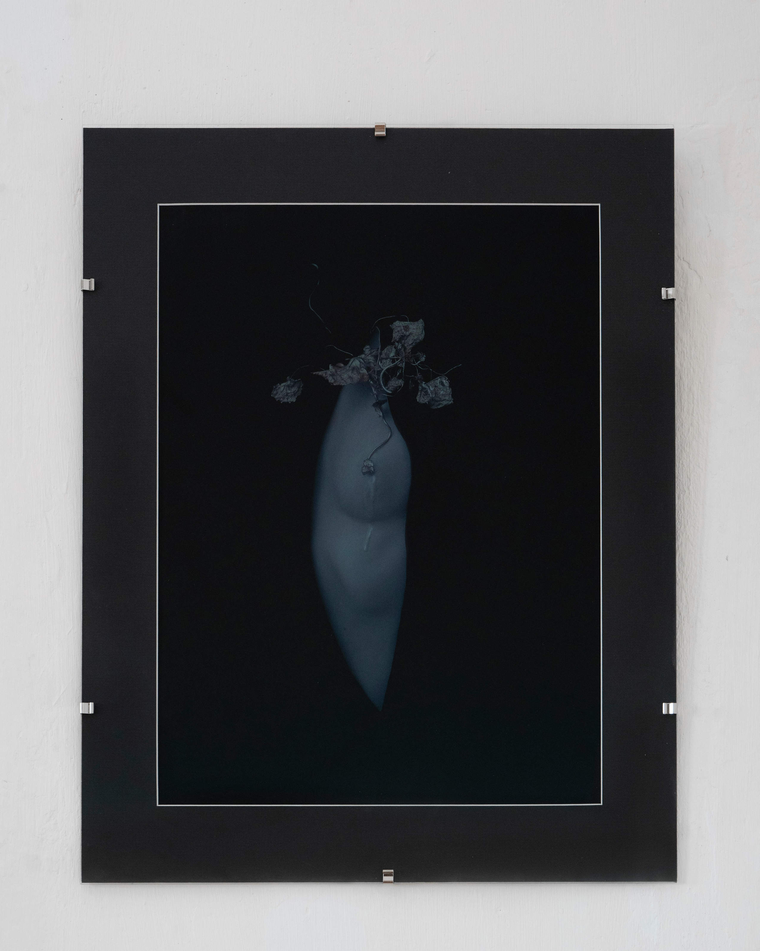 Принты. Художественная фотография в Санкт-Петербурге Алина Берёзкина