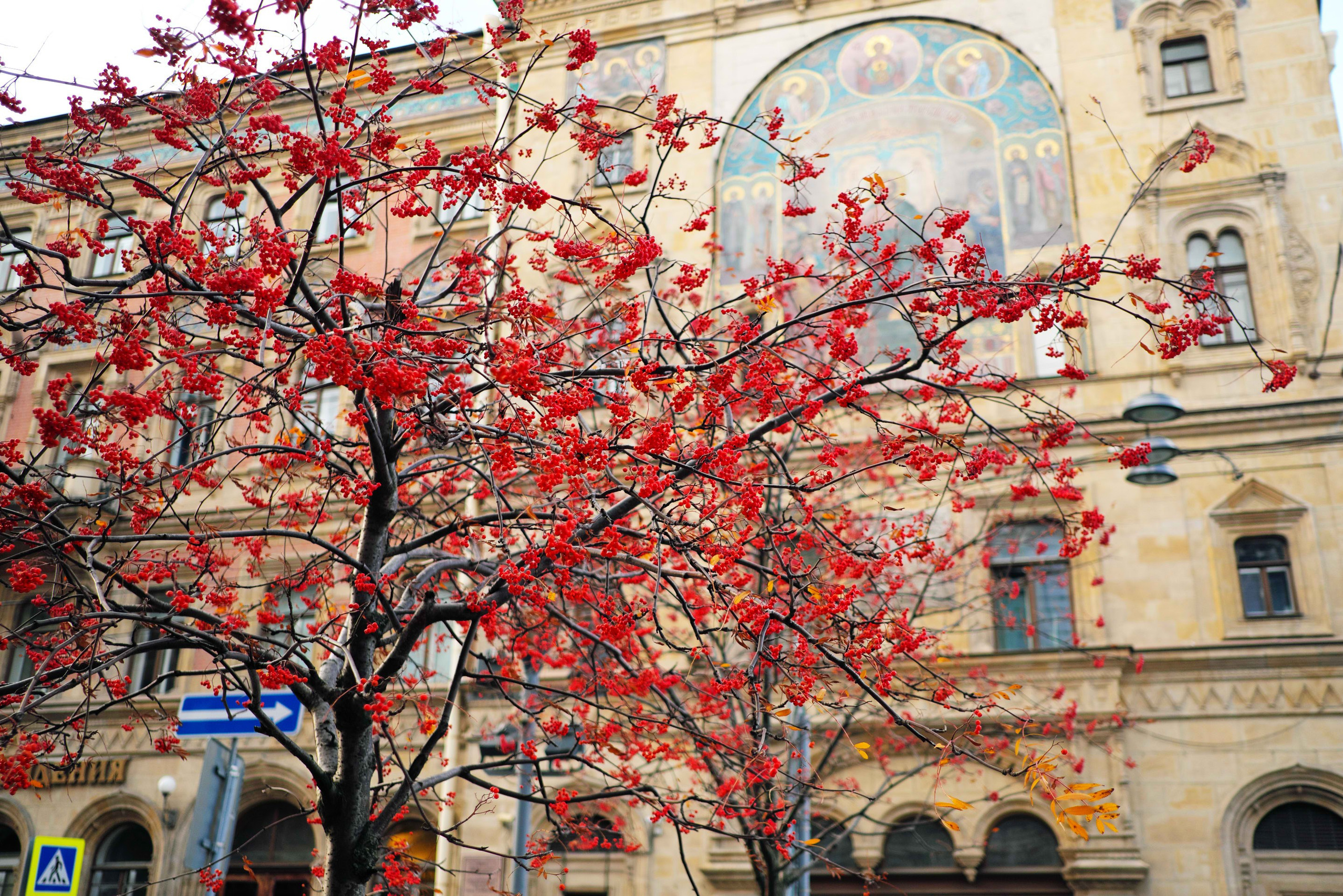 Город. Фотограф Алексей Алексеев