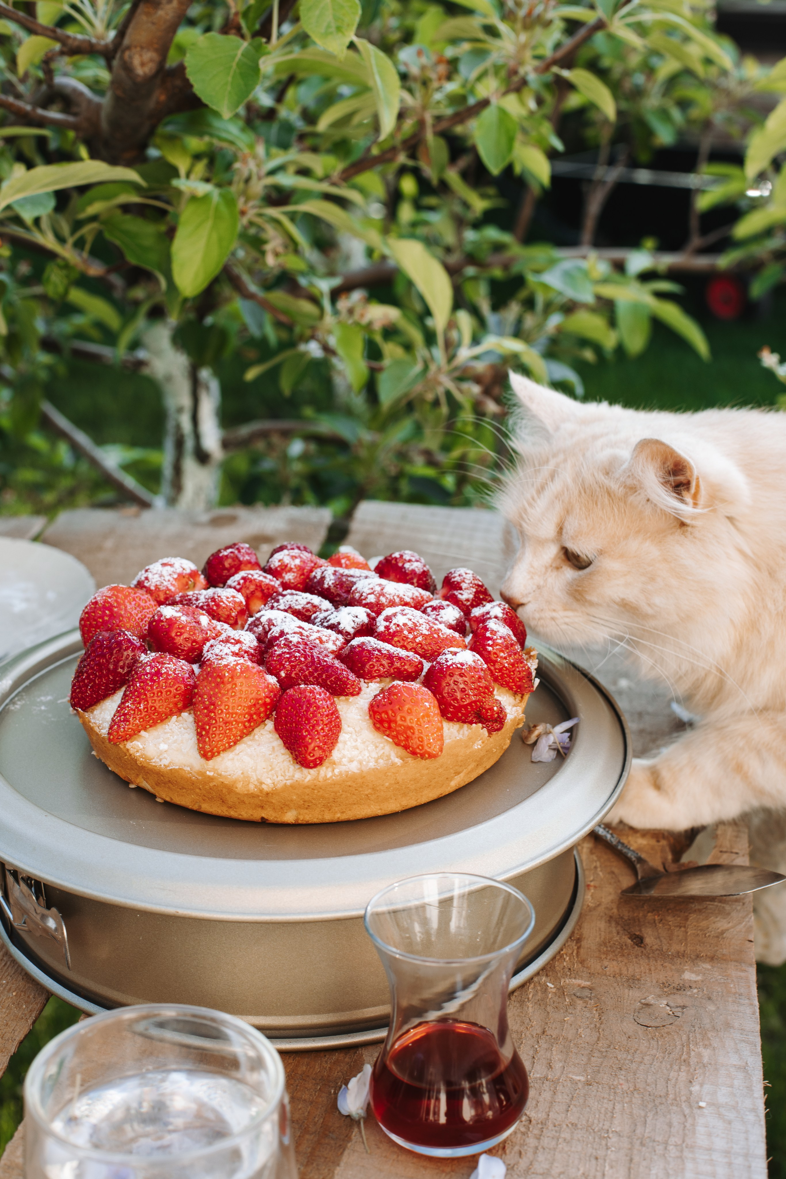 Фотограф на Юге России