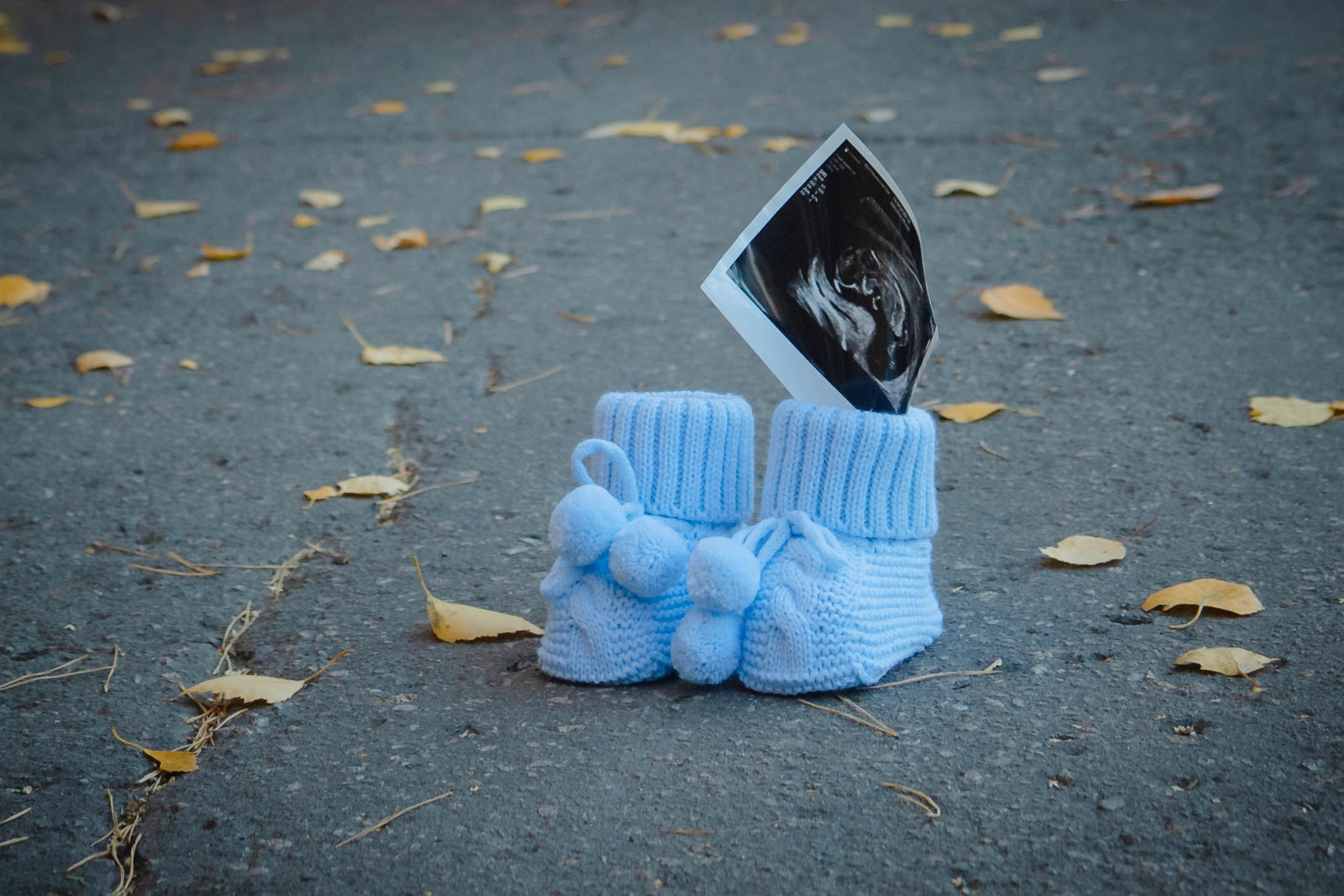 Услуги. Семейный и детский фотограф Майя Гришина