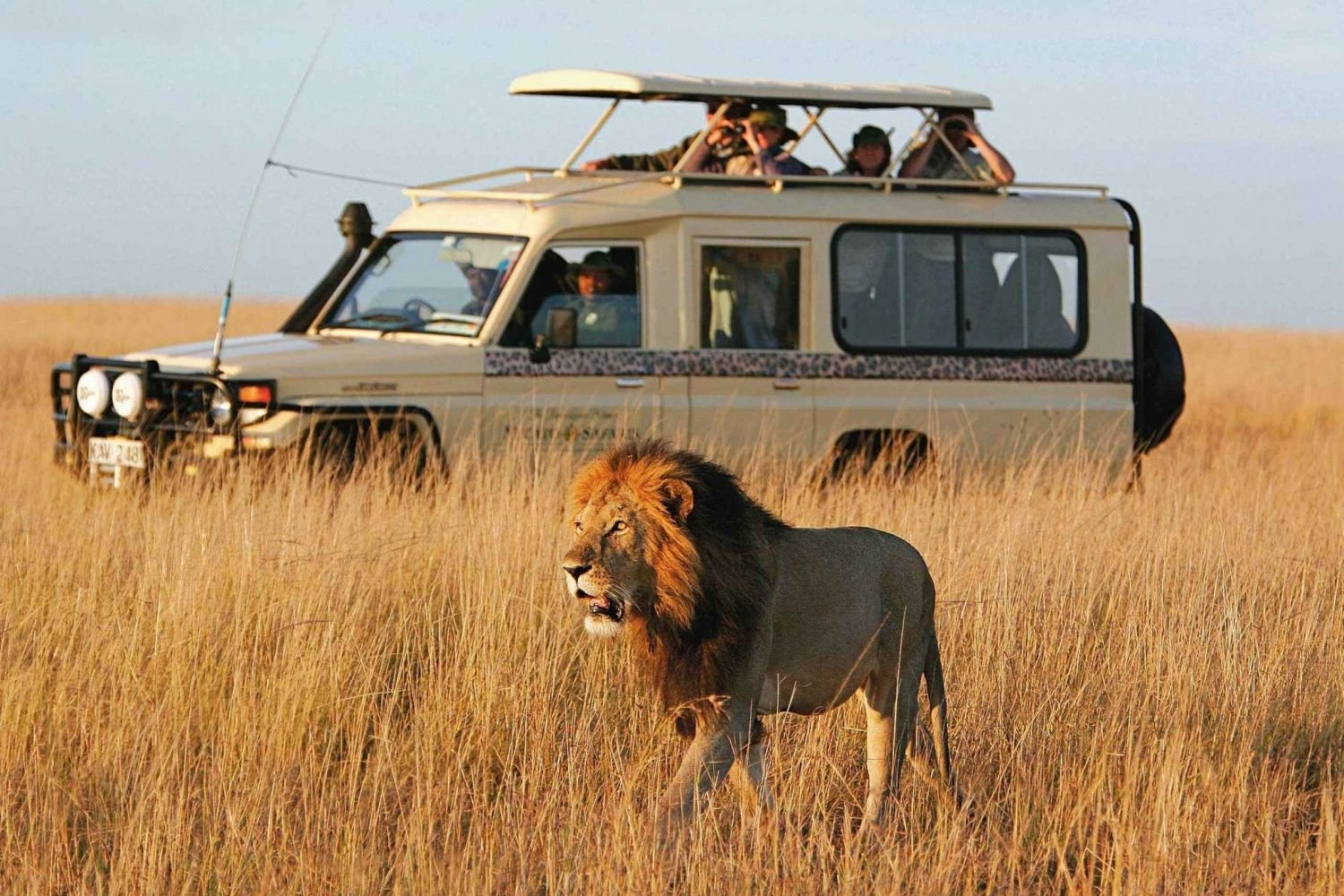 Африка. Туры по России и миру