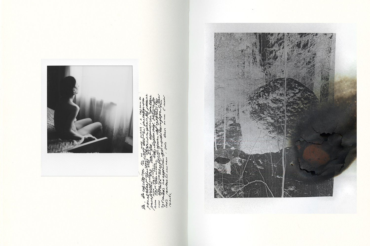 Курсы. Private image