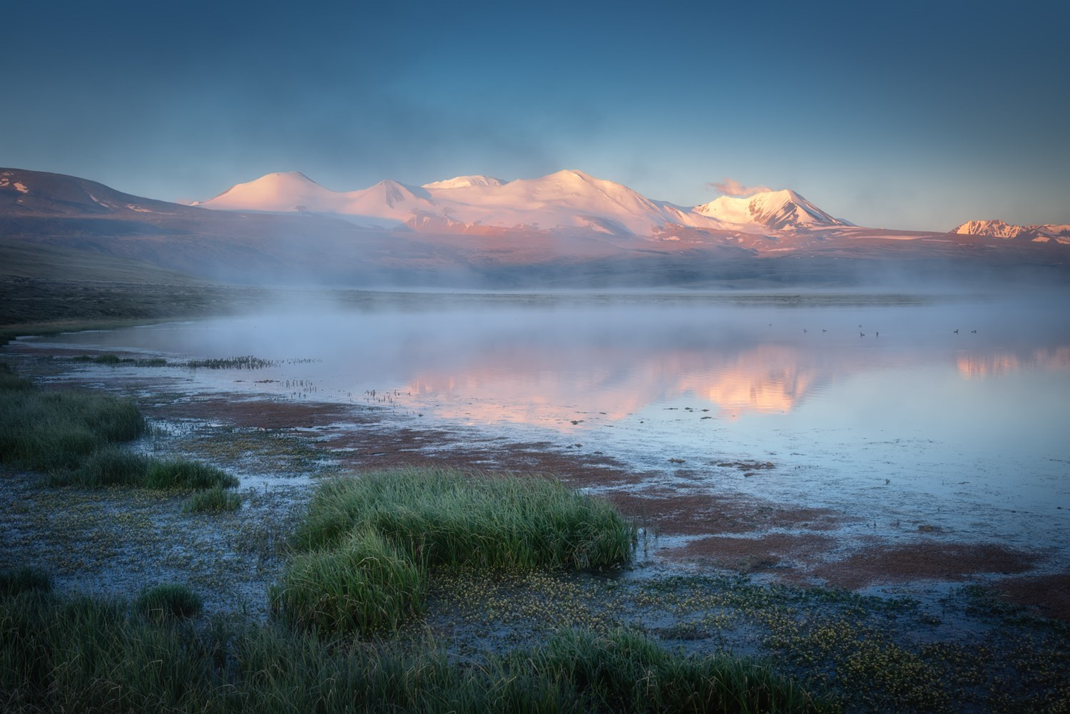 О себе через призму «Живой природы Алтая». Алёна Рубан. Профессиональный пейзажный фотограф Алёна Рубан