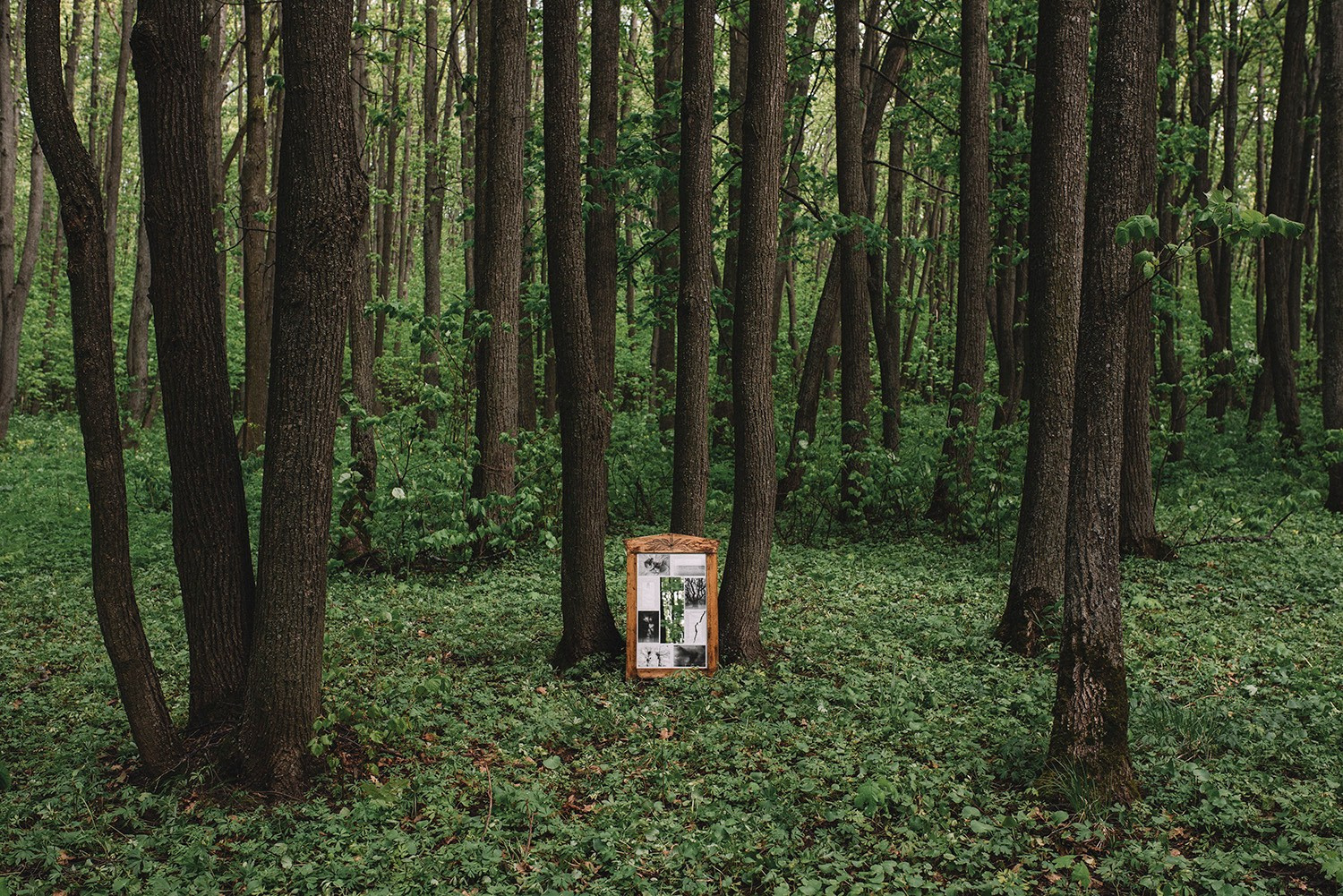 Незаданные вопросы 20.05 — 20.07.2024