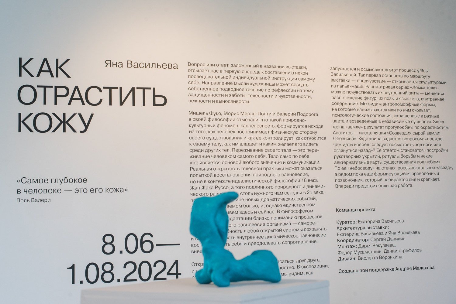 ''Как отрастить кожу'' выставка Яны Васильевой в ''Сиянии'' 8.06-1.08