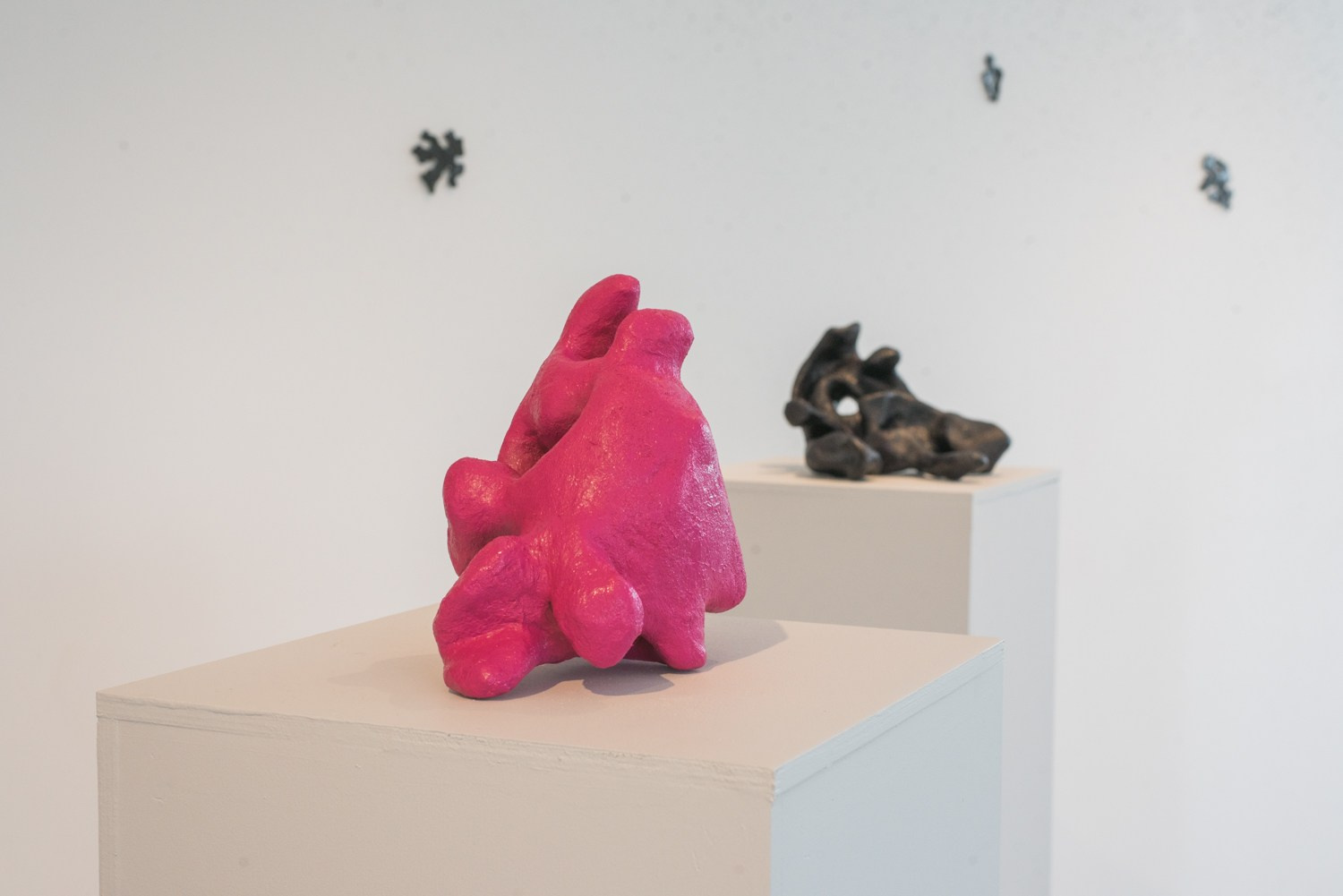 ''Как отрастить кожу'' выставка Яны Васильевой в ''Сиянии'' 8.06-1.08