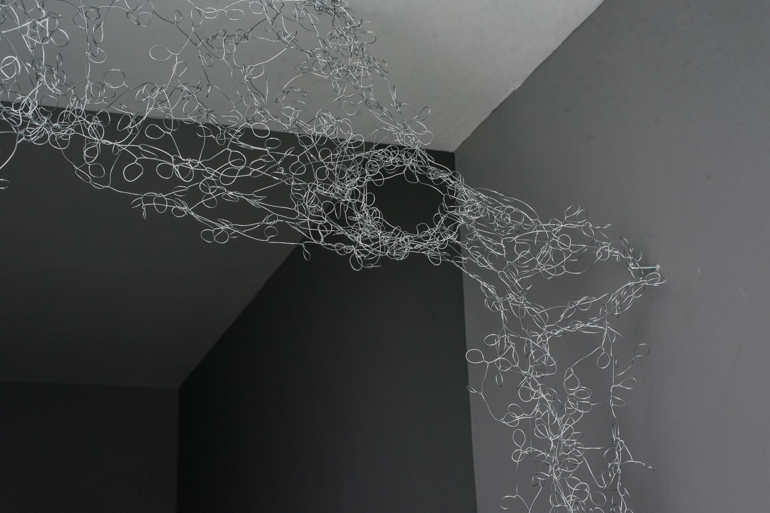 ''Как отрастить кожу'' выставка Яны Васильевой в ''Сиянии'' 8.06-1.08