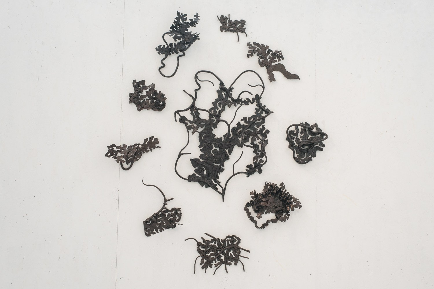 ''Как отрастить кожу'' выставка Яны Васильевой в ''Сиянии'' 8.06-1.08