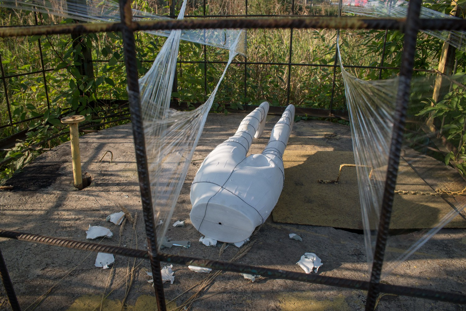 Хождение вдоль. Интервью с Екатериной Васильевой