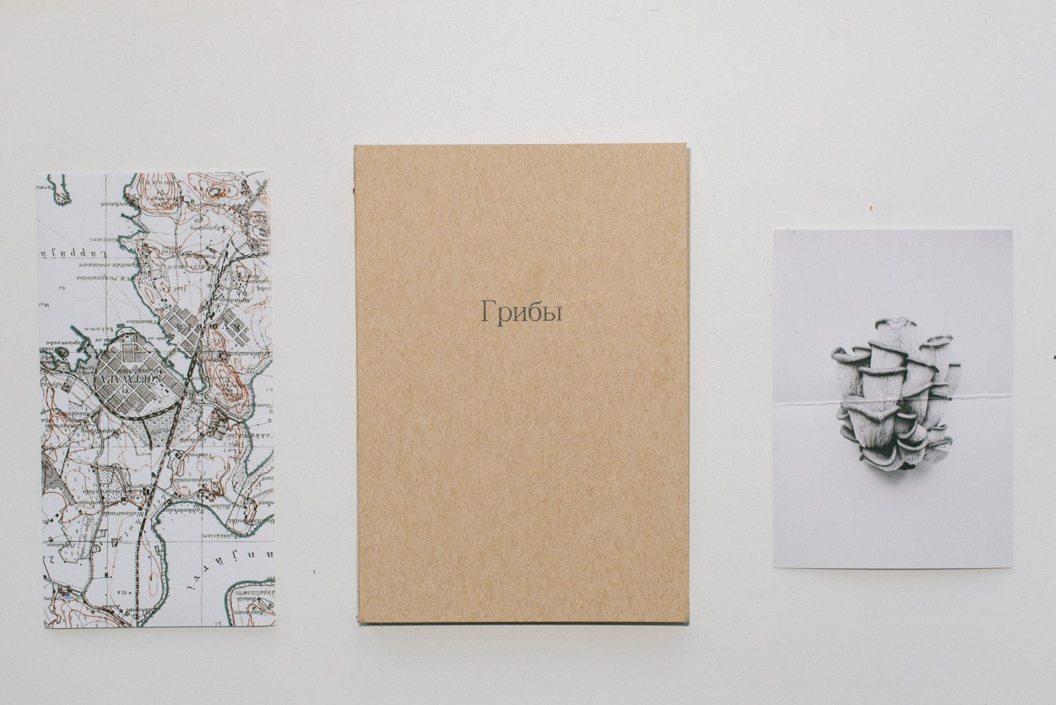 Книги. Художница Юлия Павлова