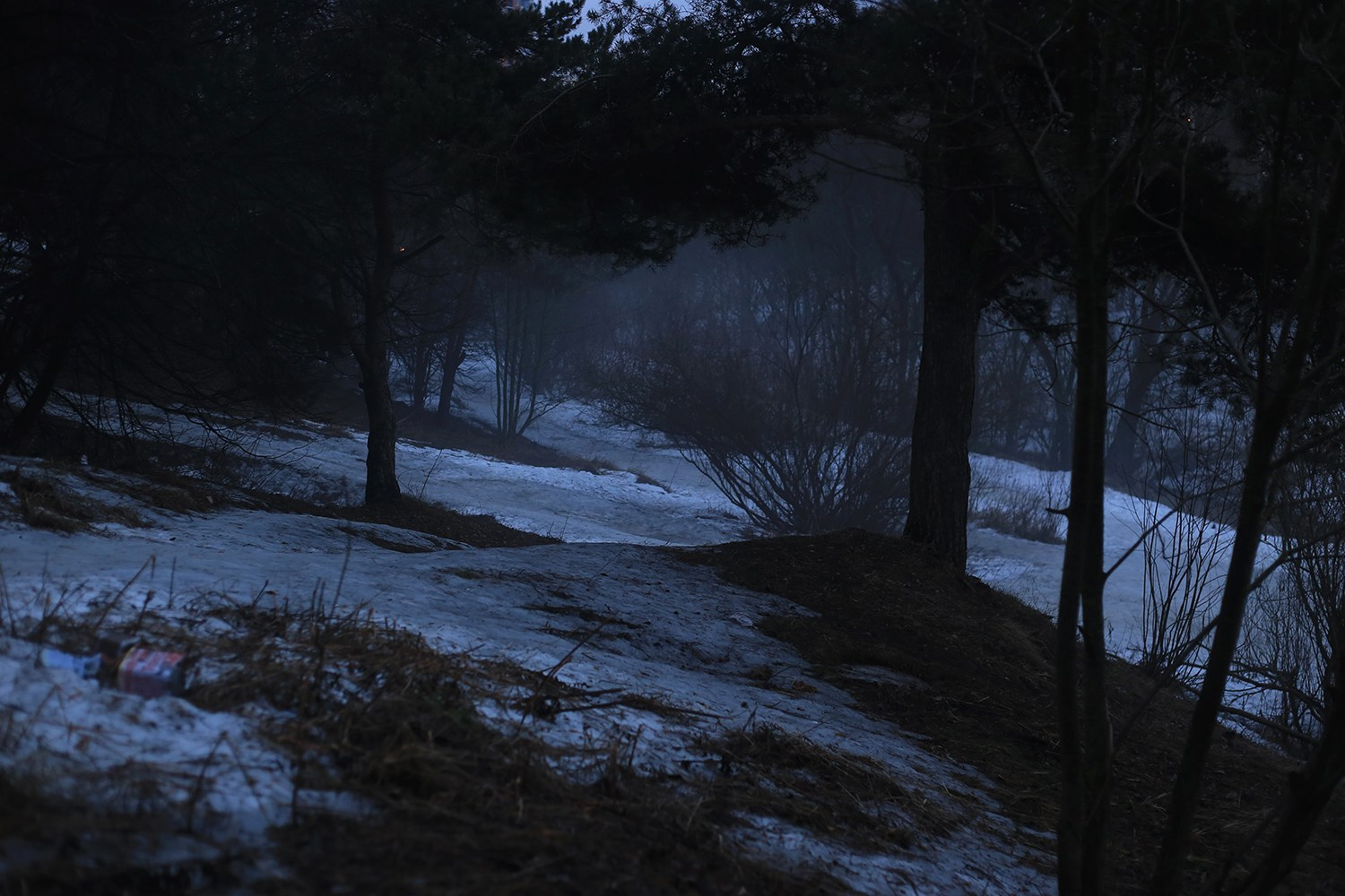 Старенькие дети: Лариса. Юлия Алтухова, мультимедиа художница