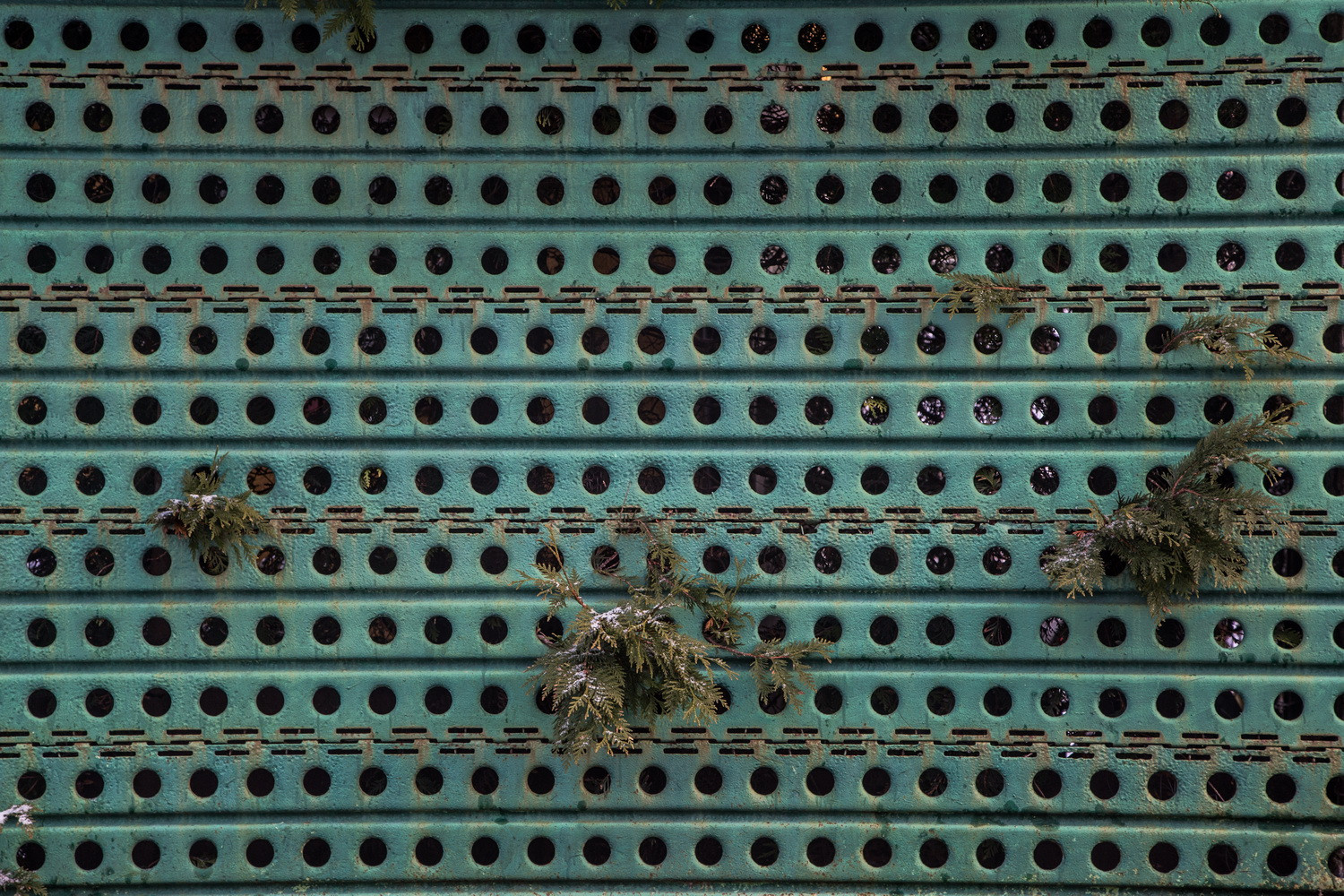 Инородное тело