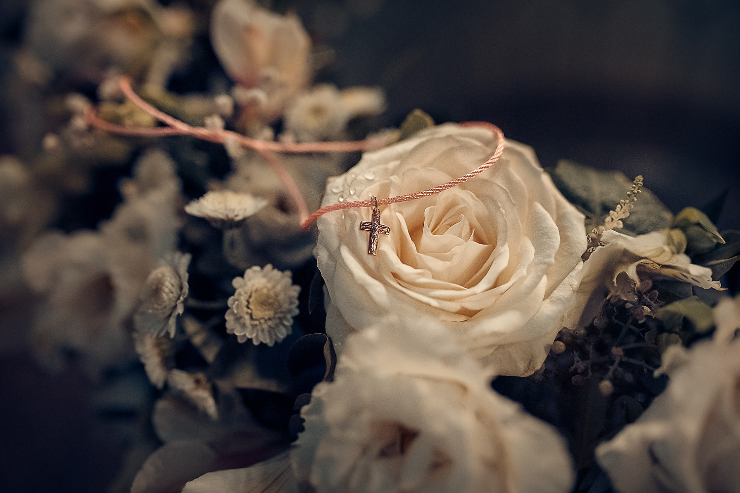 Контакты. Семейный фотограф Москва/Домодедово, Сандалова Елена