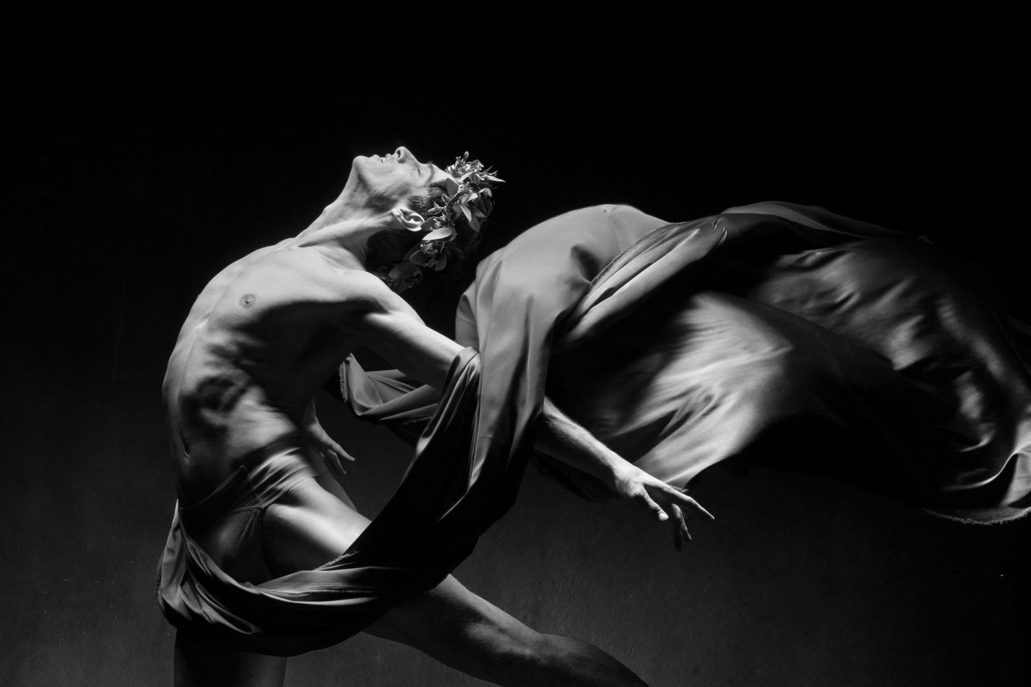 Контакты фотограф Алиса Тикстон. Алиса Тикстон — Балетный и портретный фотограф в Петербурге и Москве