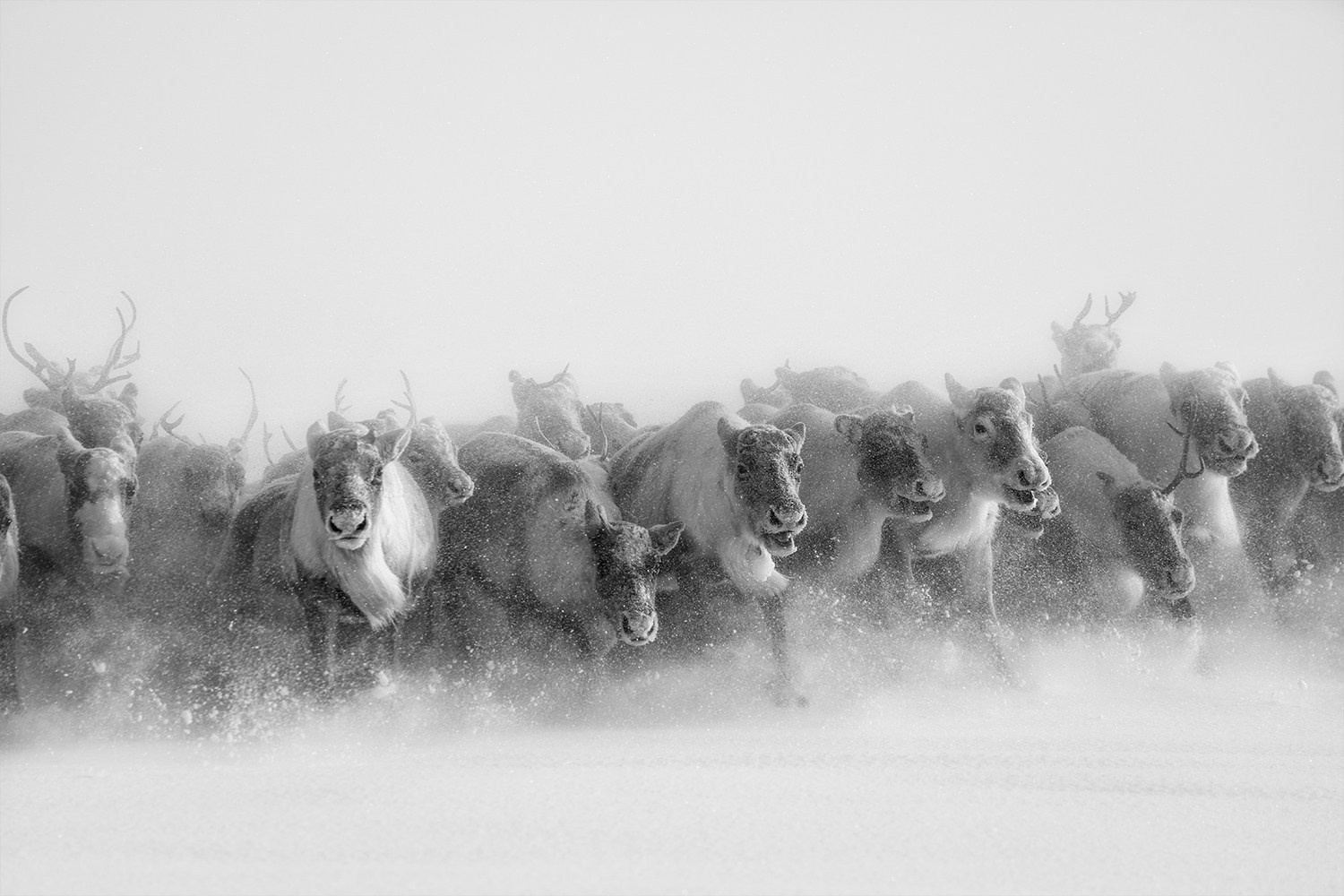 Portfolio Award 2026