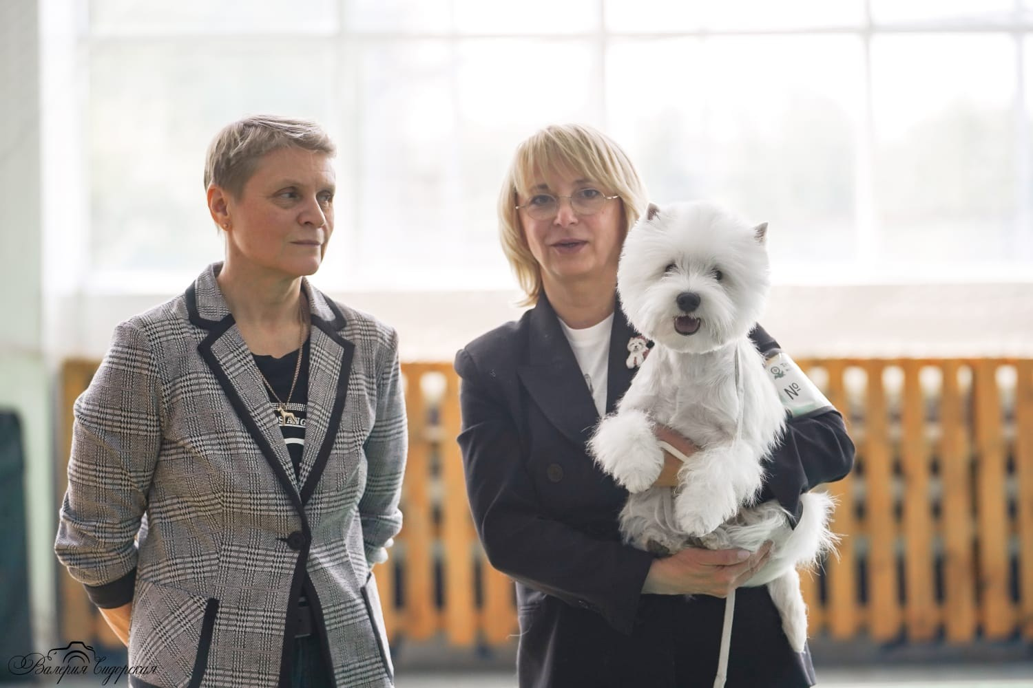 Липецк — Выставка собак 3 группы FCI + speciality. Питомник собак породы вест хайленд вайт терьер в Москве