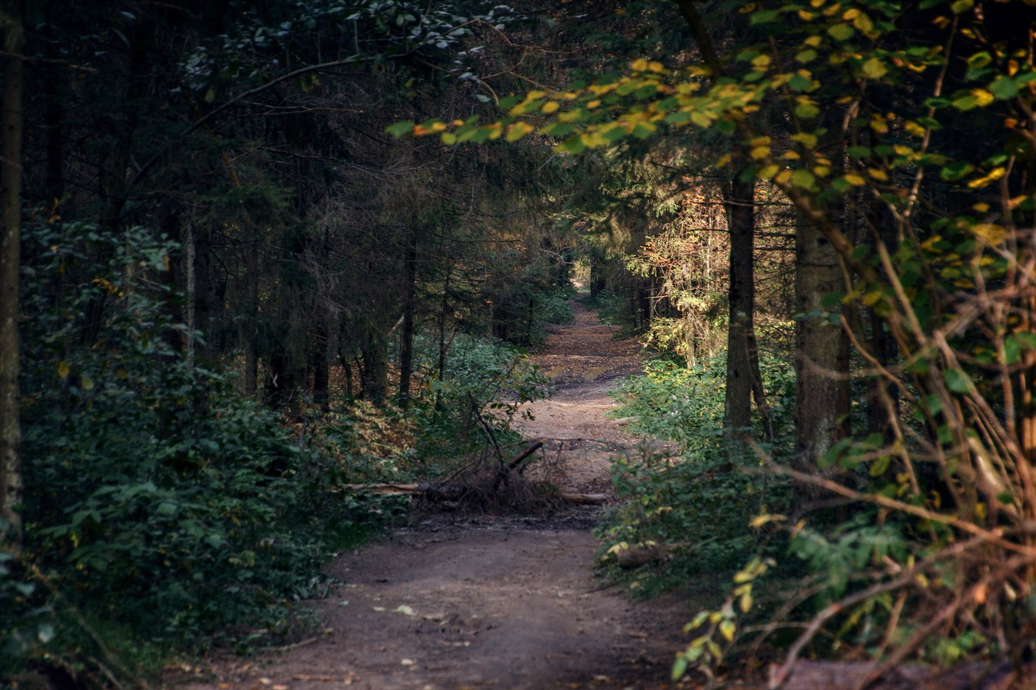 Фотографии в разных жанрах. Портретный фотограф Станислав Жуков | Москва