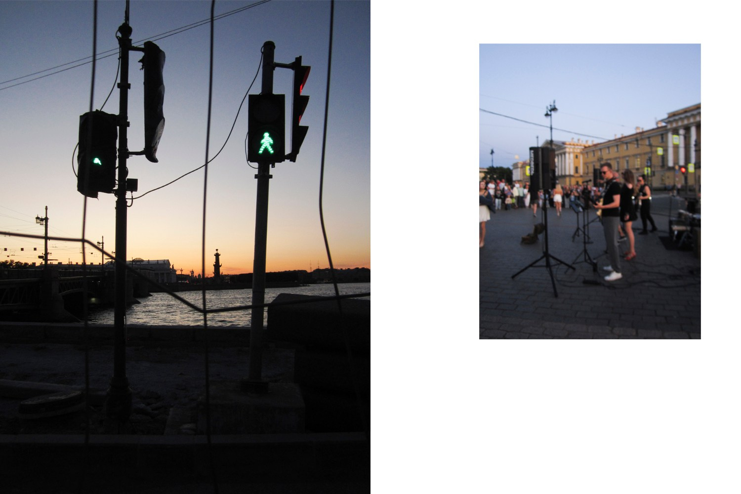 Чайка в платье, гроб и черный пес. MEEUW | Кинематографичная фотография. Фотограф Адигамова Юлия. Санкт-Петербург