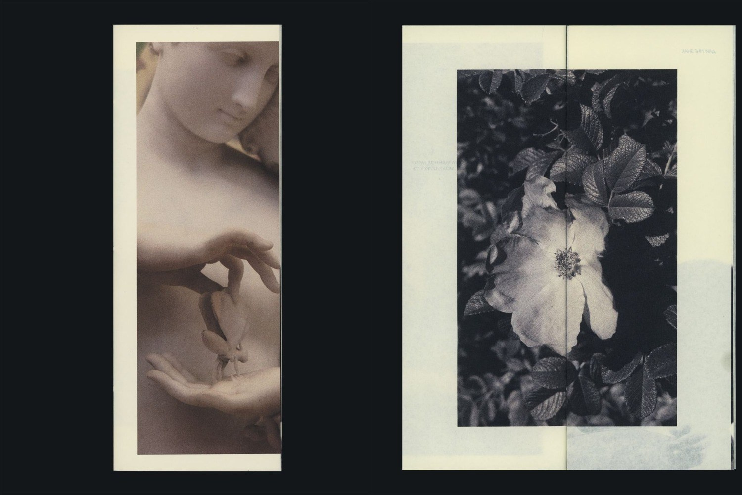 Воркшоп по зинам. Самоорганизация Низина