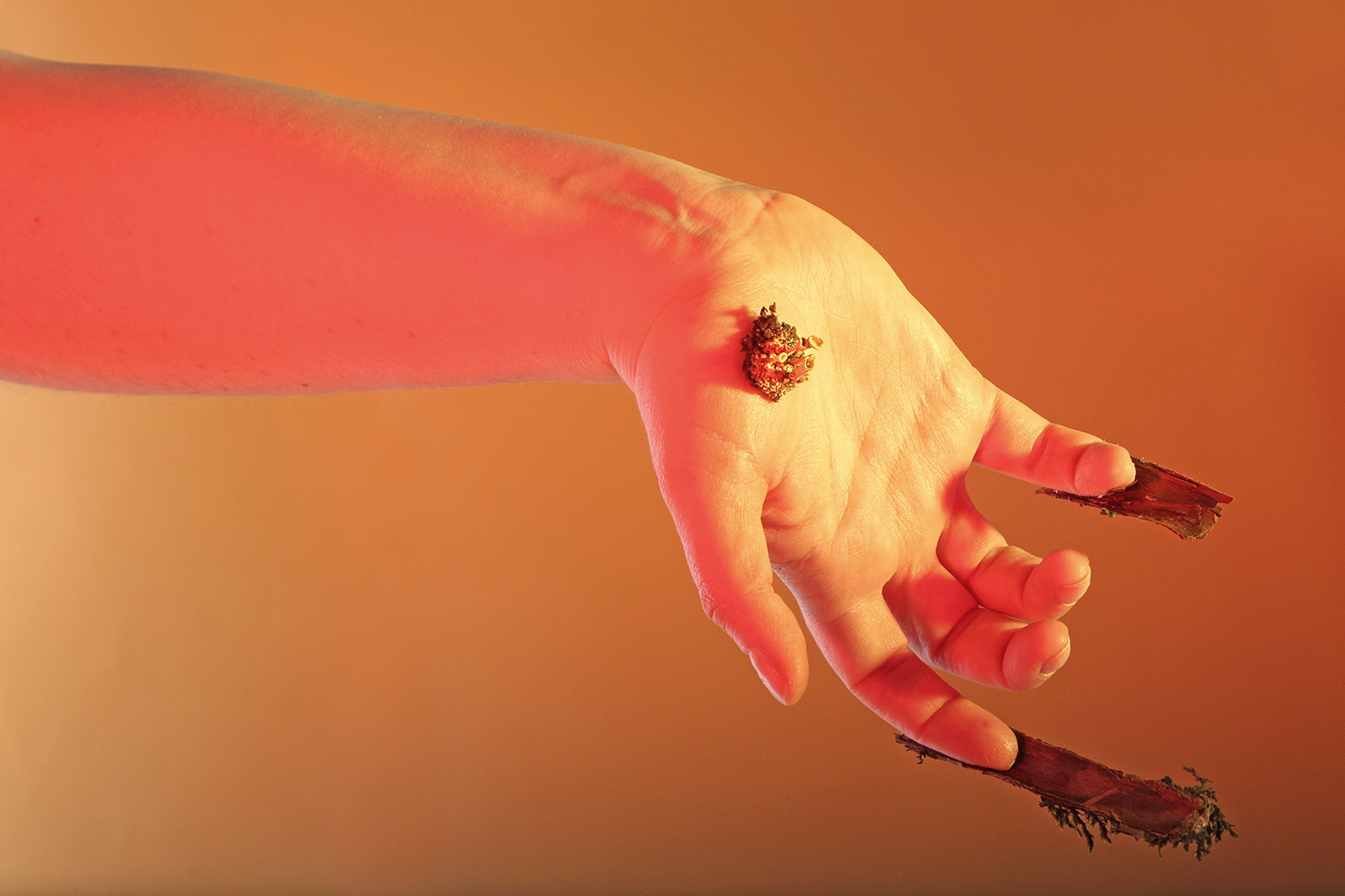 Проект «Ассамбляж» в архиве «Шишимской горки»