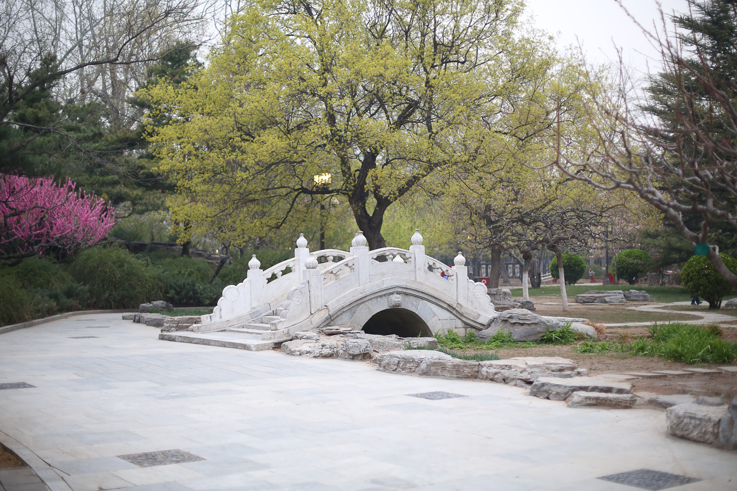 Выставка фотографий в Пекине. Фотограф Ольга Филимонова