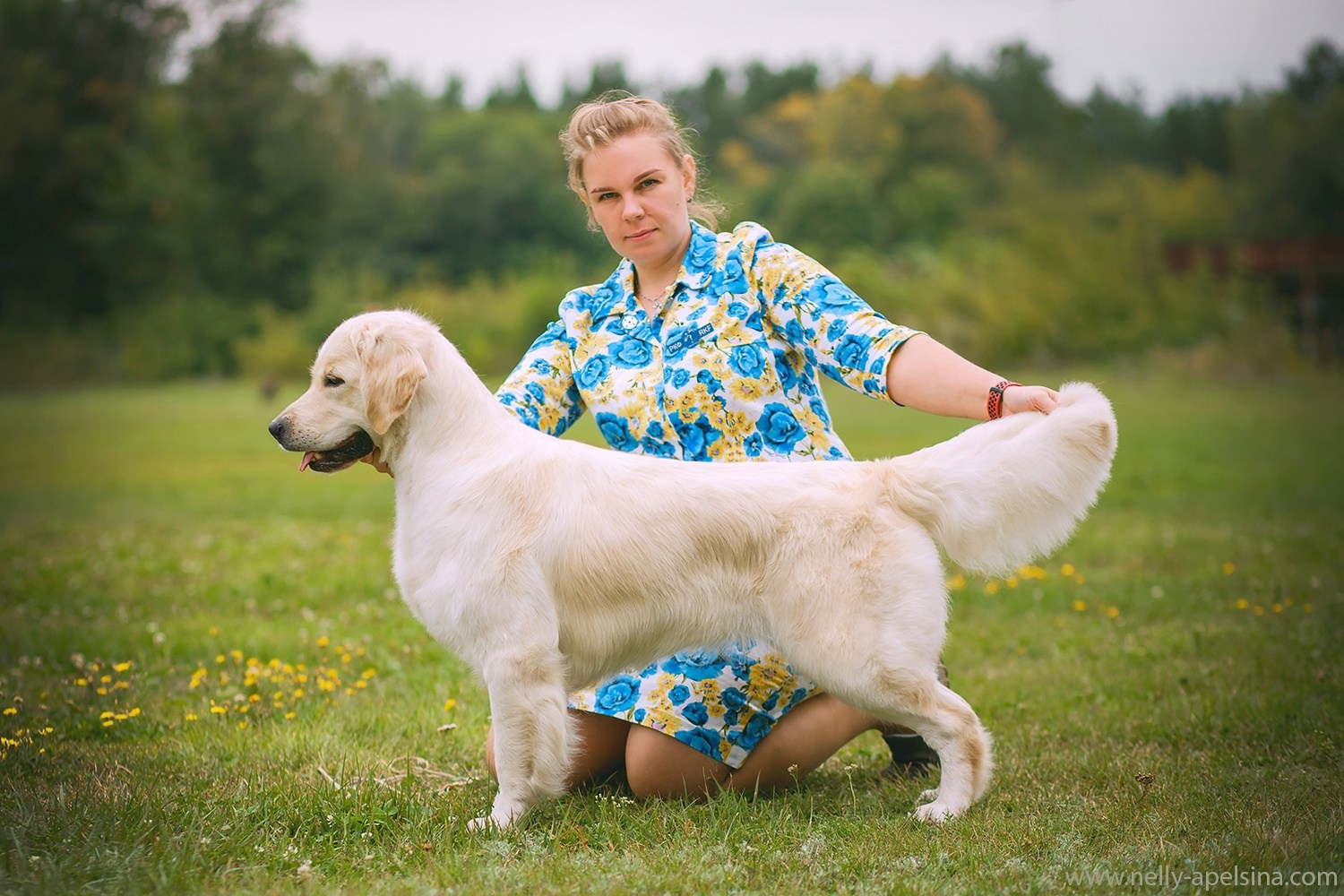 ПАКЕТЫ УСЛУГ. Фотограф Нелли Самойлова