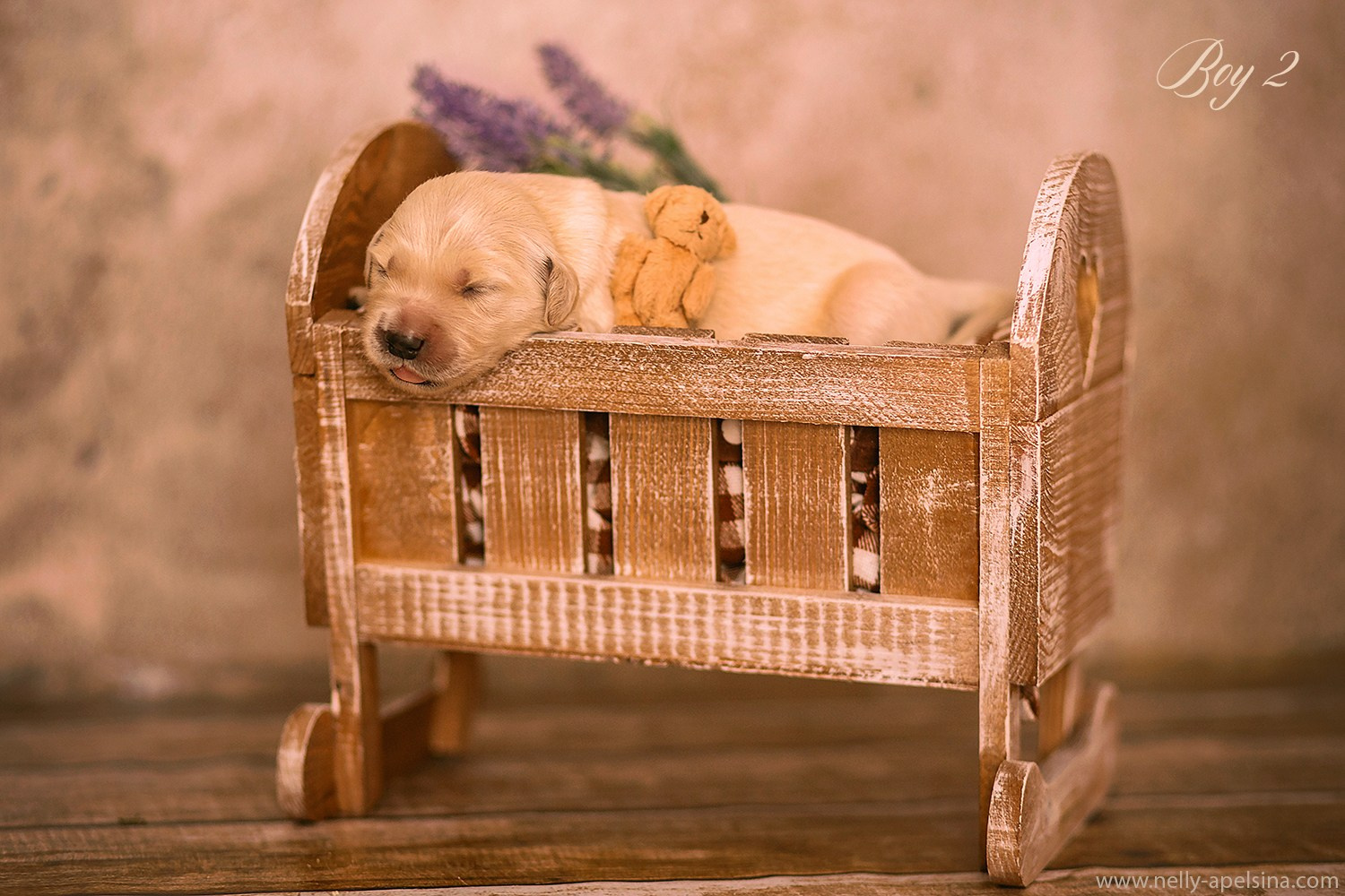 ПАКЕТЫ УСЛУГ. Фотограф Нелли Самойлова