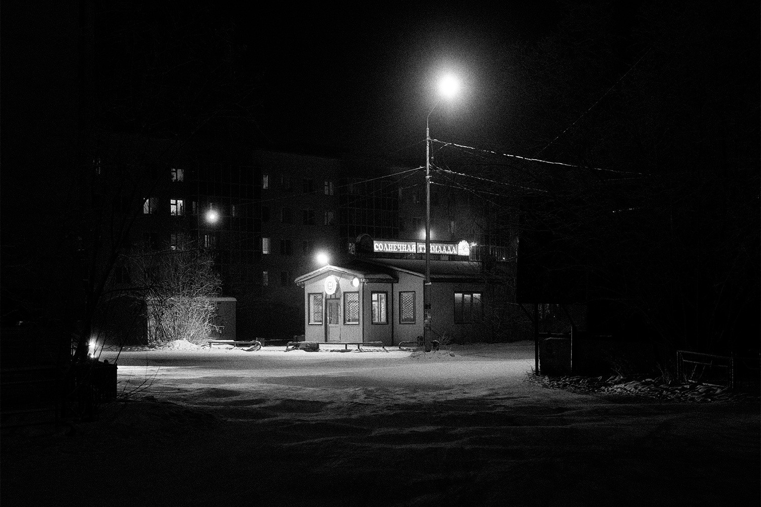 Youth of the North. Lesha Pavlov