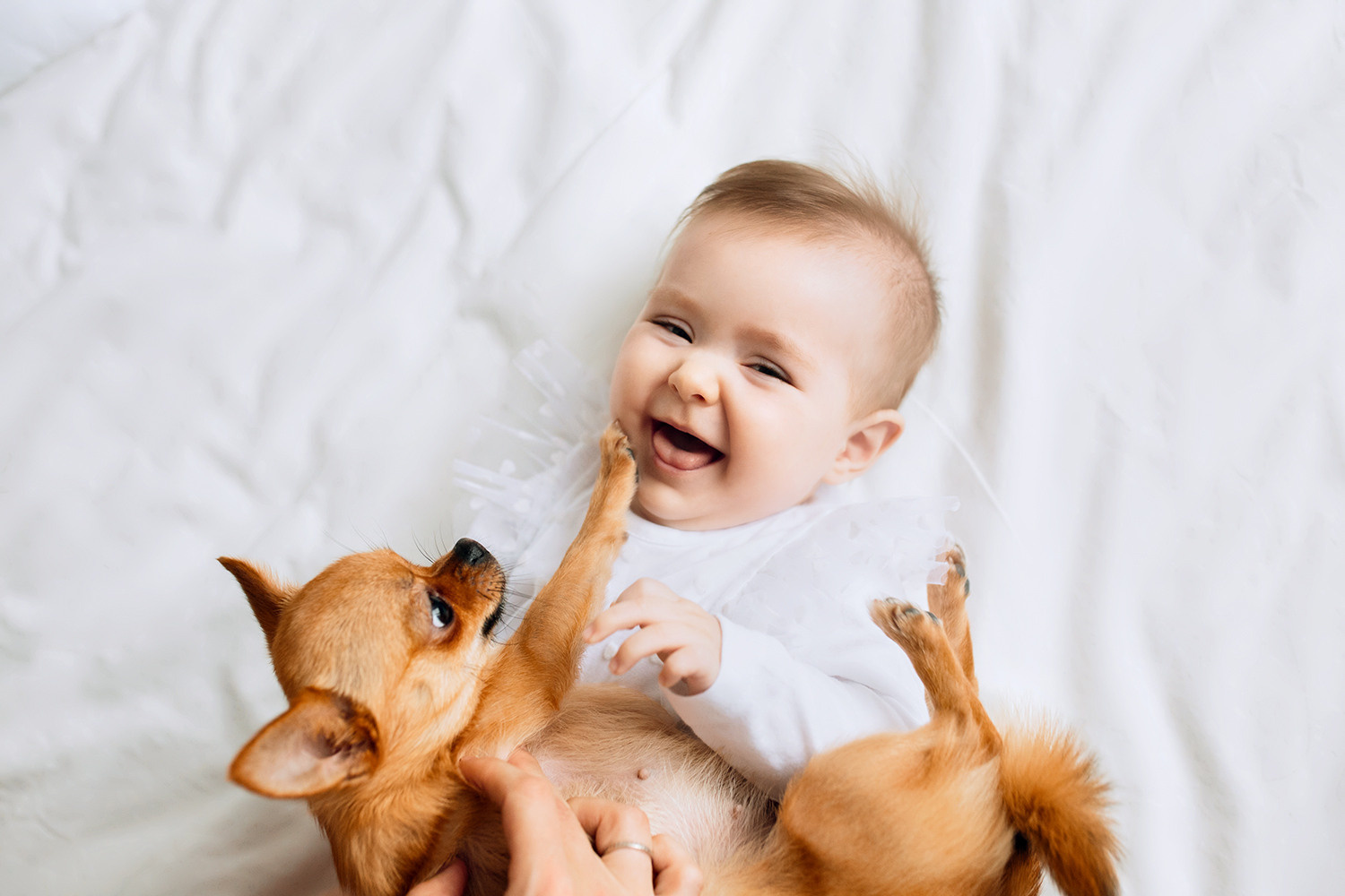 фотограф новорожденных и младенцев в Бресте и Минске, фотосессия с домашними животными