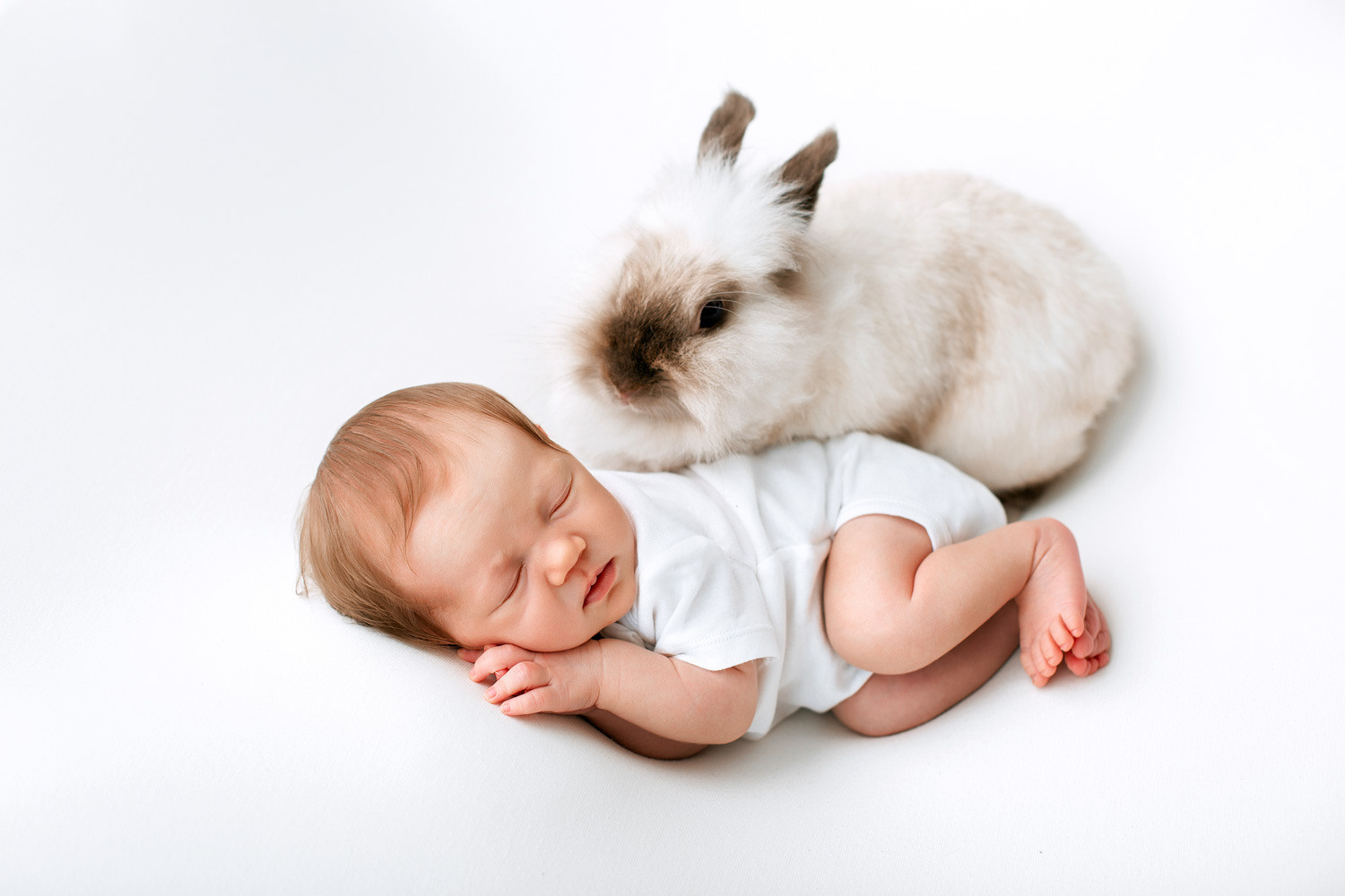 Домашние питомцы на детской фотосессии. Фотограф новорожденных Оксана Полевская