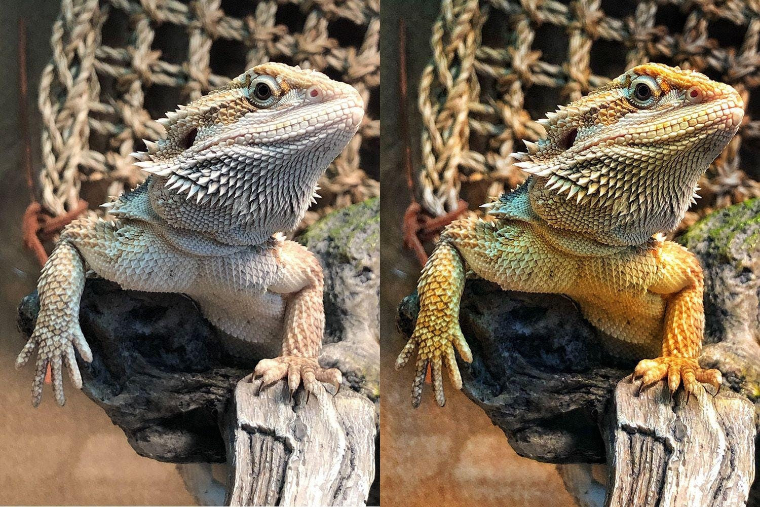 С кисточкой по жизни. Safronov Ivan — a portrait photographer in Moscow